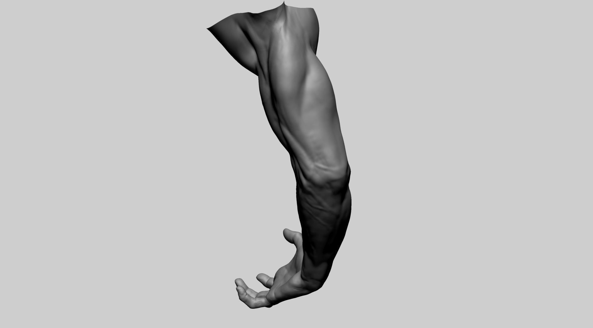 Arm Model A human with hand outstretched 3D model_1