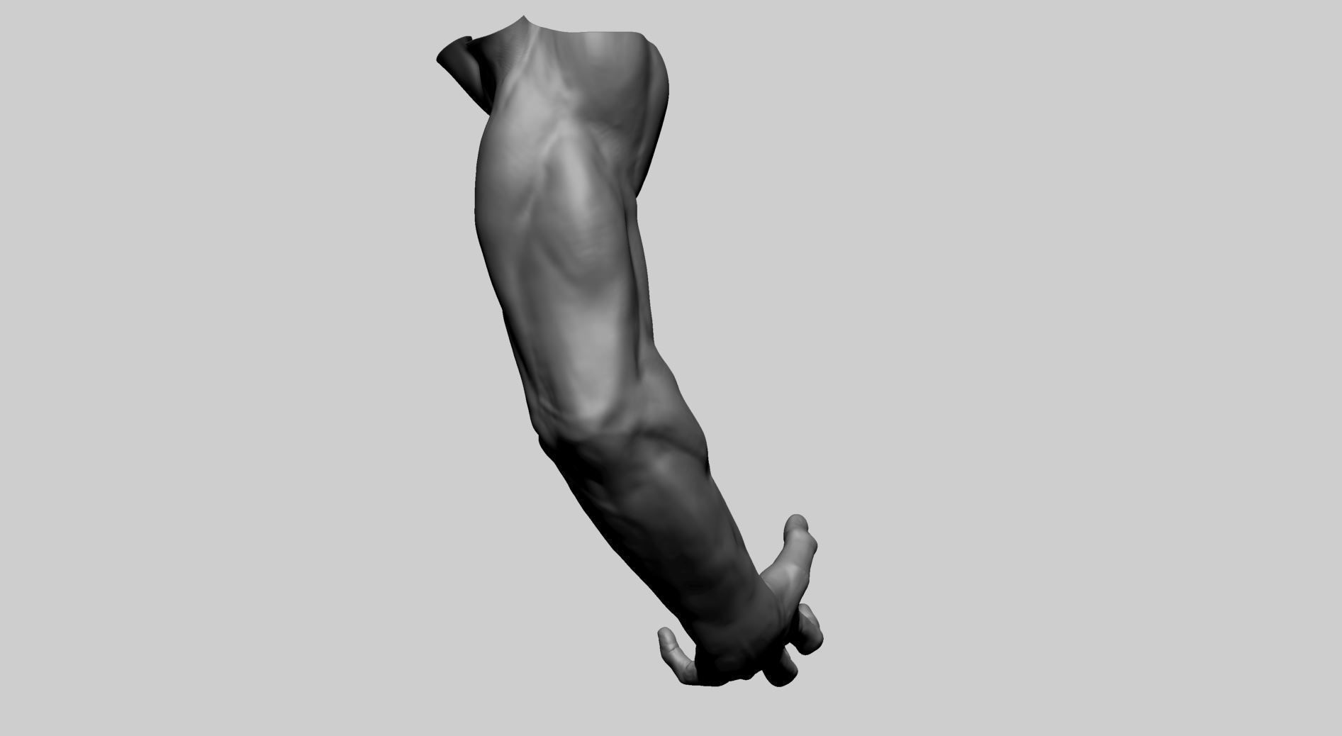 Arm Model A human with hand outstretched 3D model_2