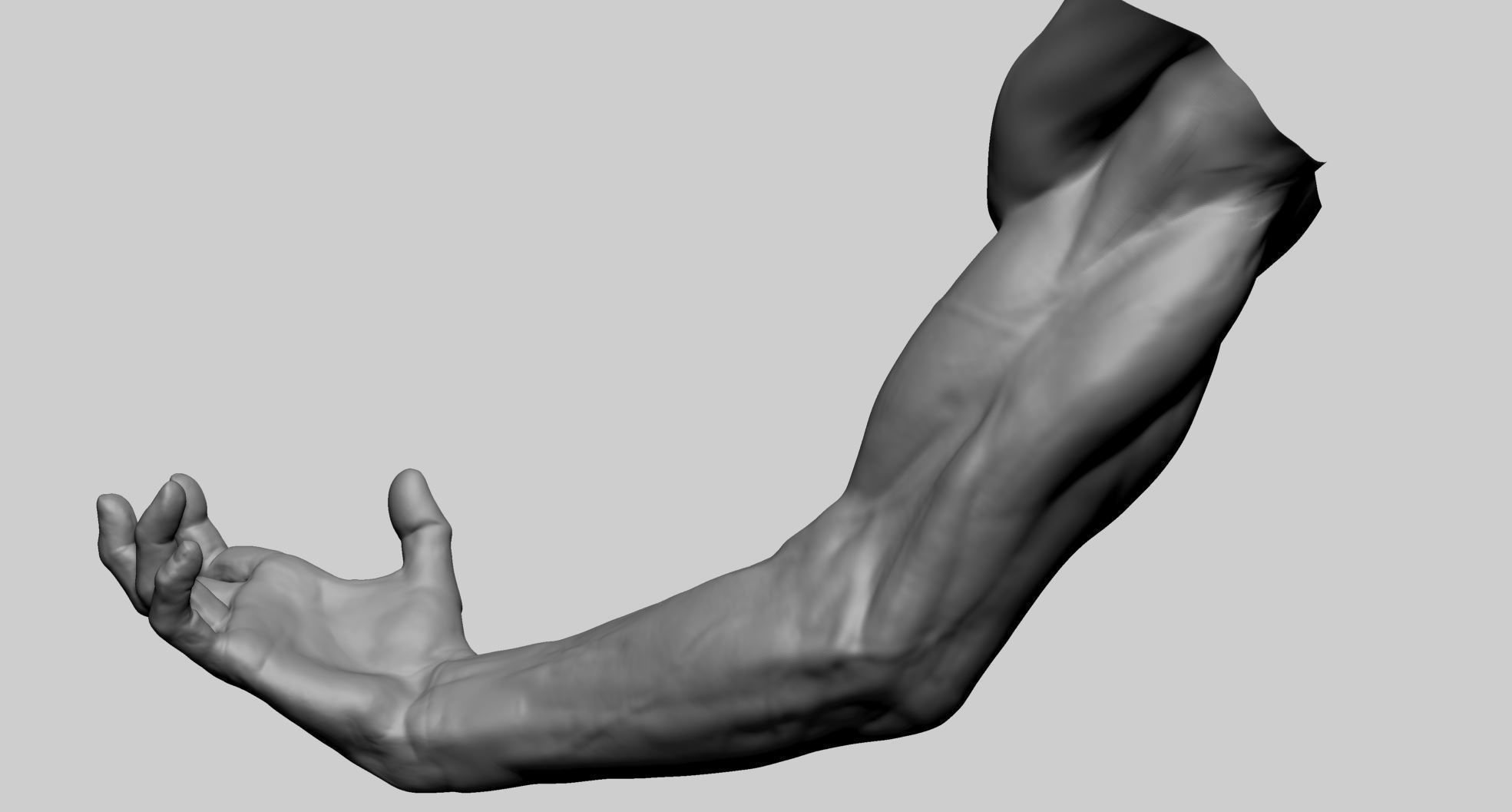 Arm Model A human with hand outstretched 3D model_9