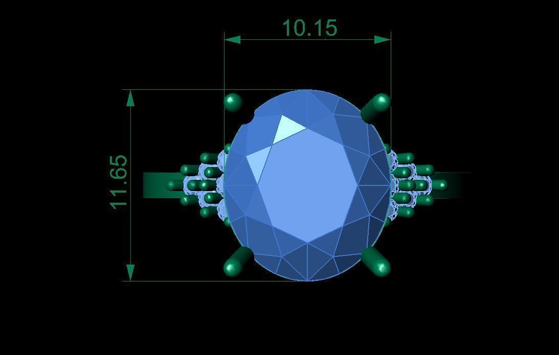 Ring 173 3D print model_7