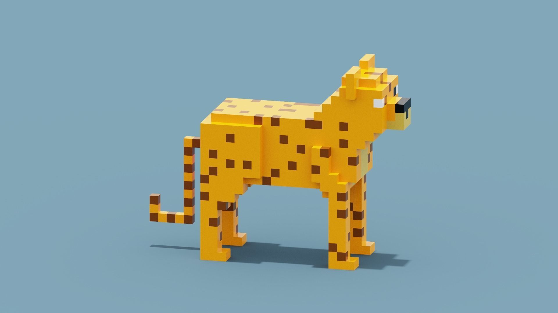 Voxel Cheetah Low-poly 3D model_8