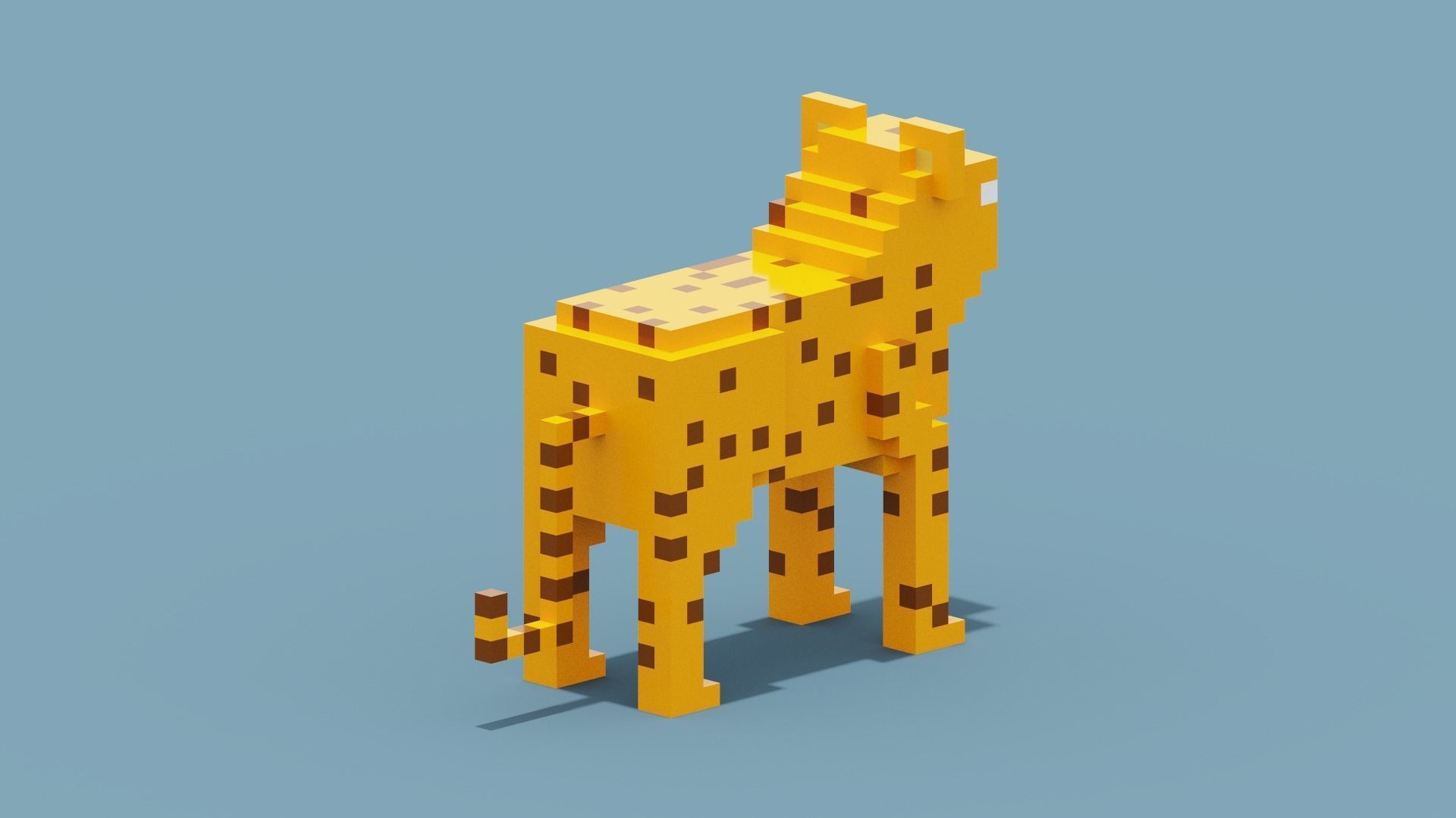 Voxel Cheetah Low-poly 3D model_6