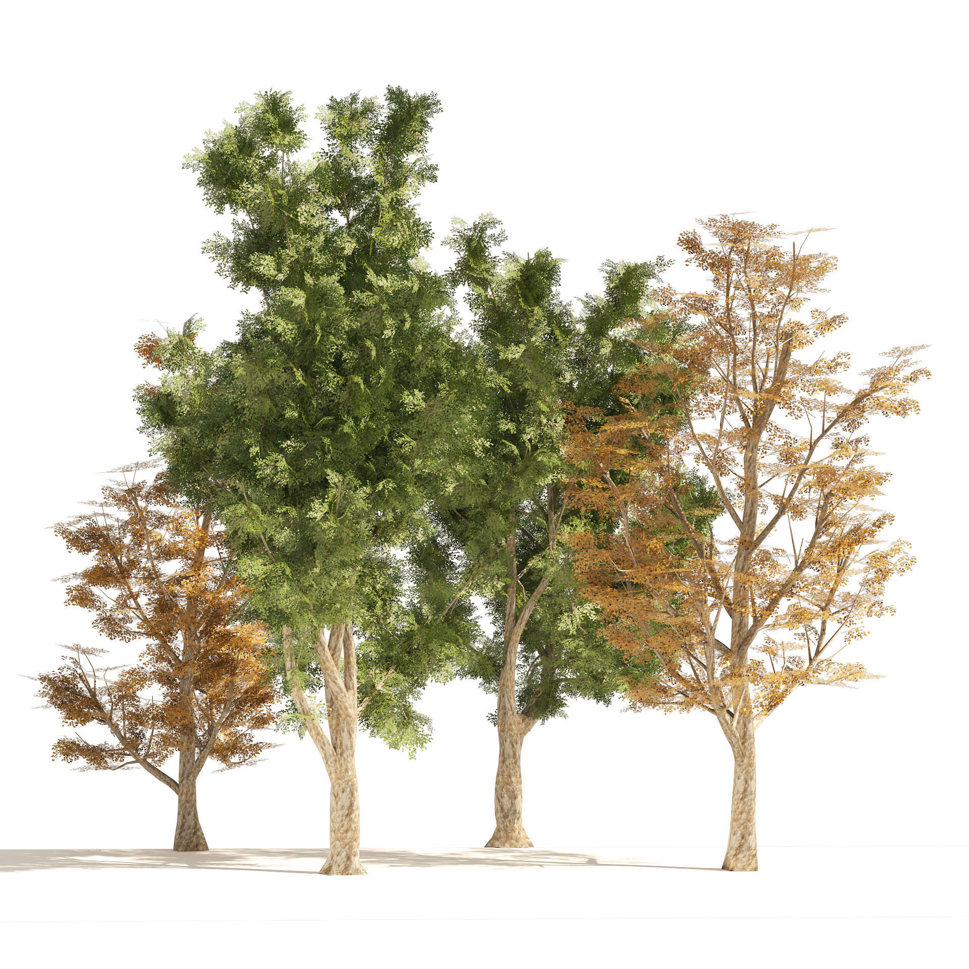 4 Summer and Fall Street london plane trees Low-poly 3D model_2