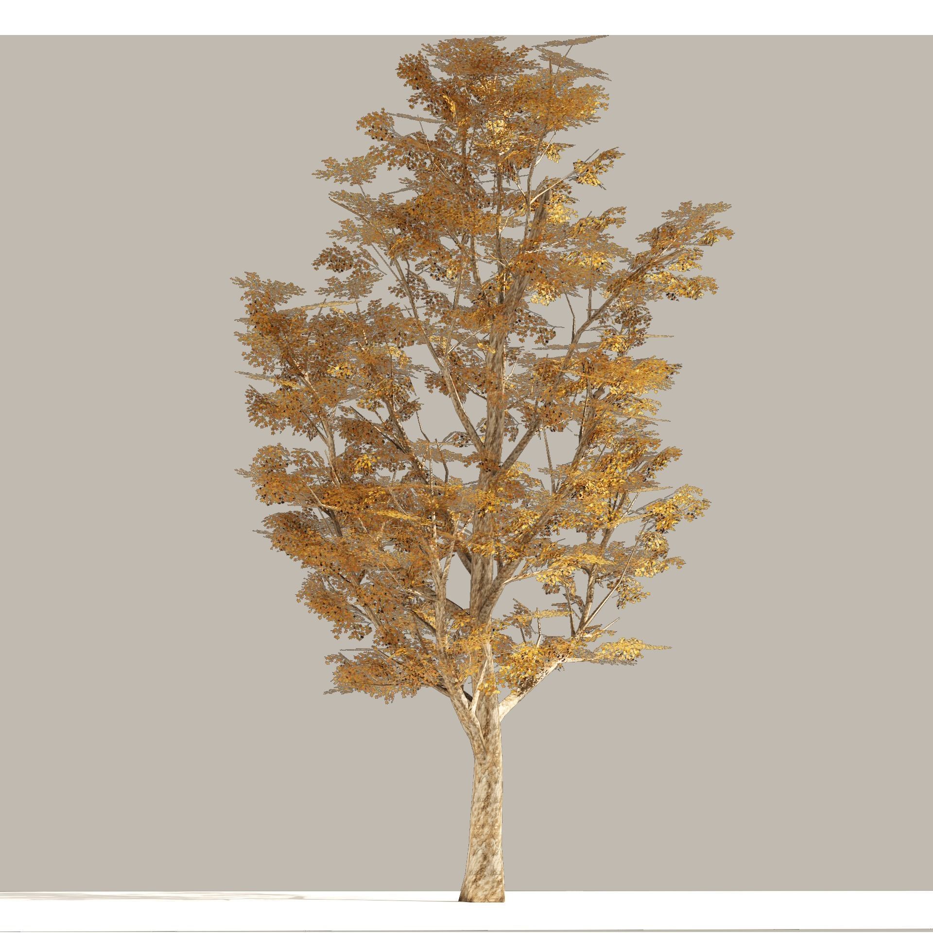 4 Summer and Fall Street london plane trees Low-poly 3D model_10