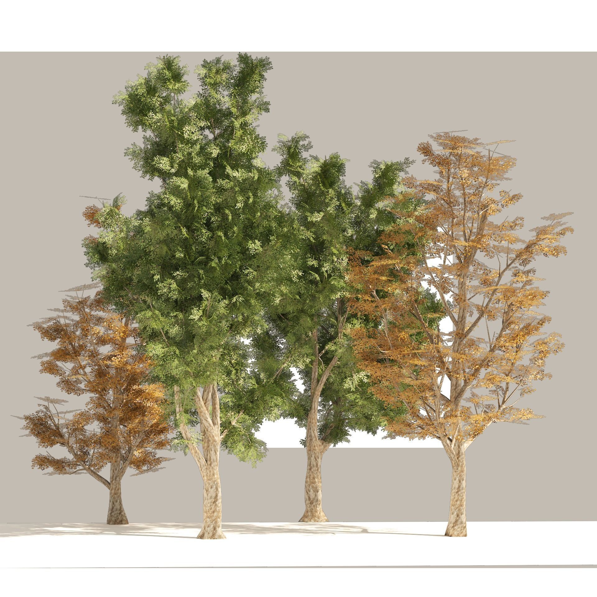4 Summer and Fall Street london plane trees Low-poly 3D model_9