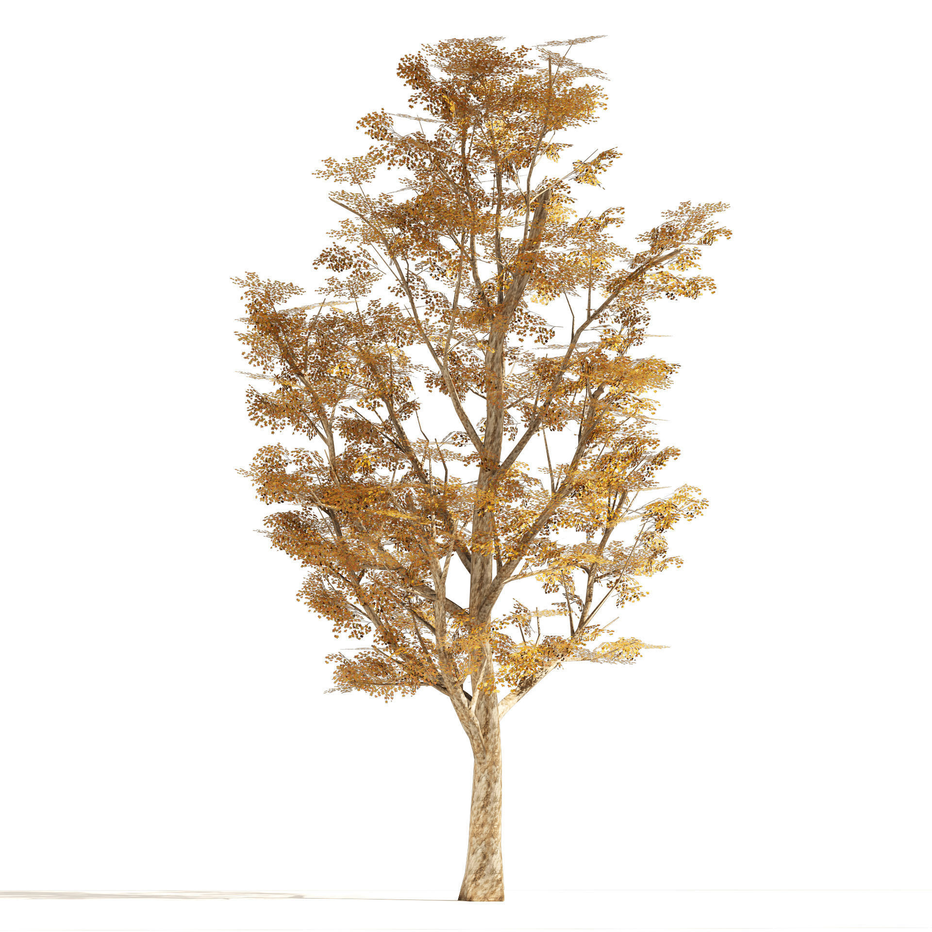 4 Summer and Fall Street london plane trees Low-poly 3D model_4