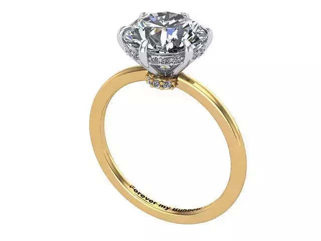 Gold and Silver Solitaire Diamond Ring