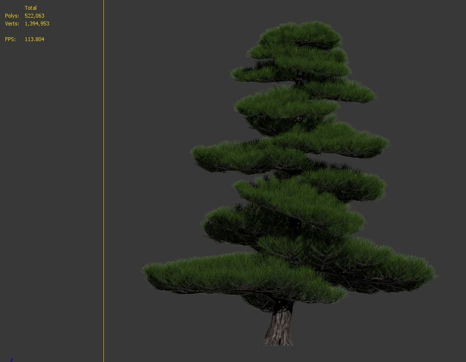 Chinese red pine 3D model_4