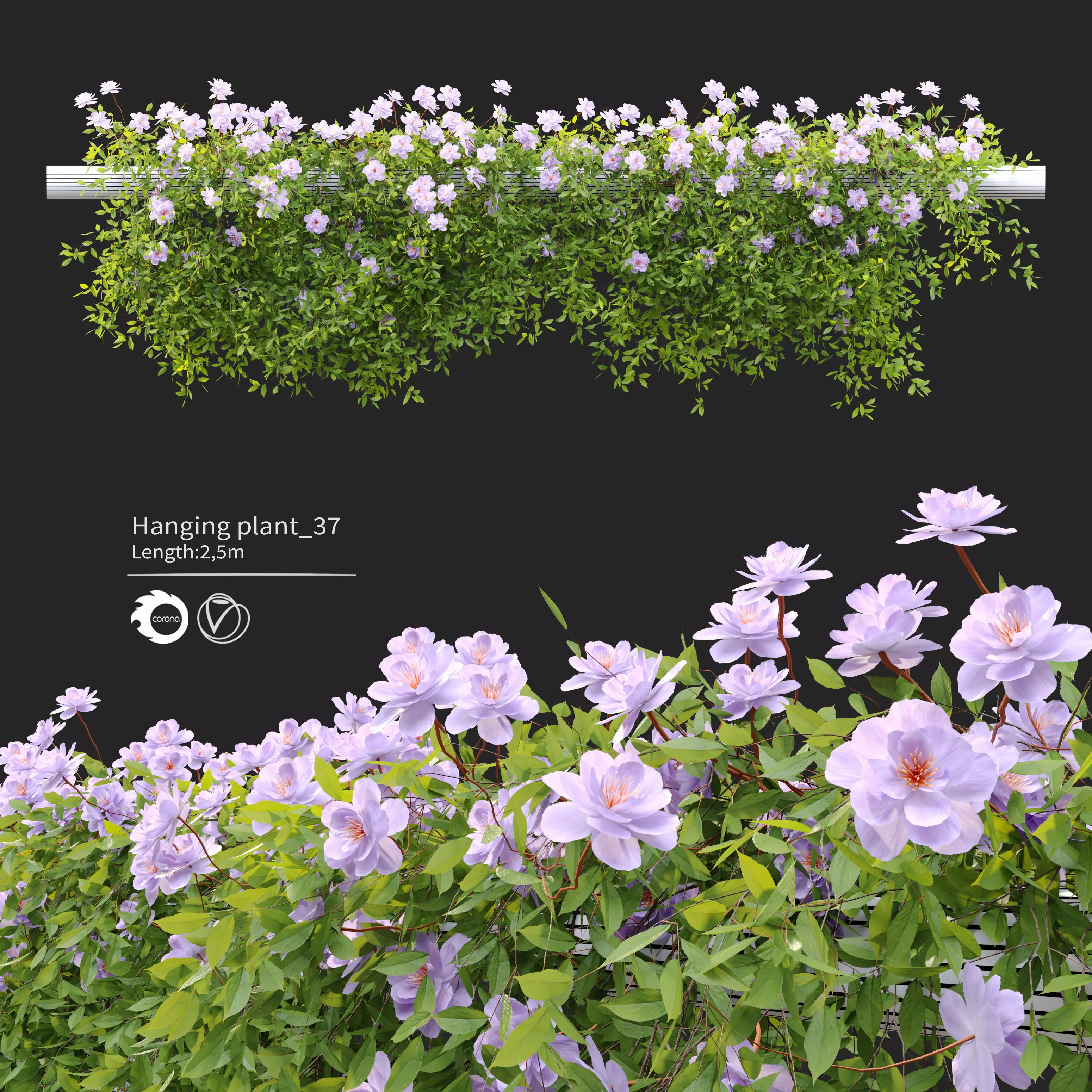 Hanging Plant 37 3D model_0