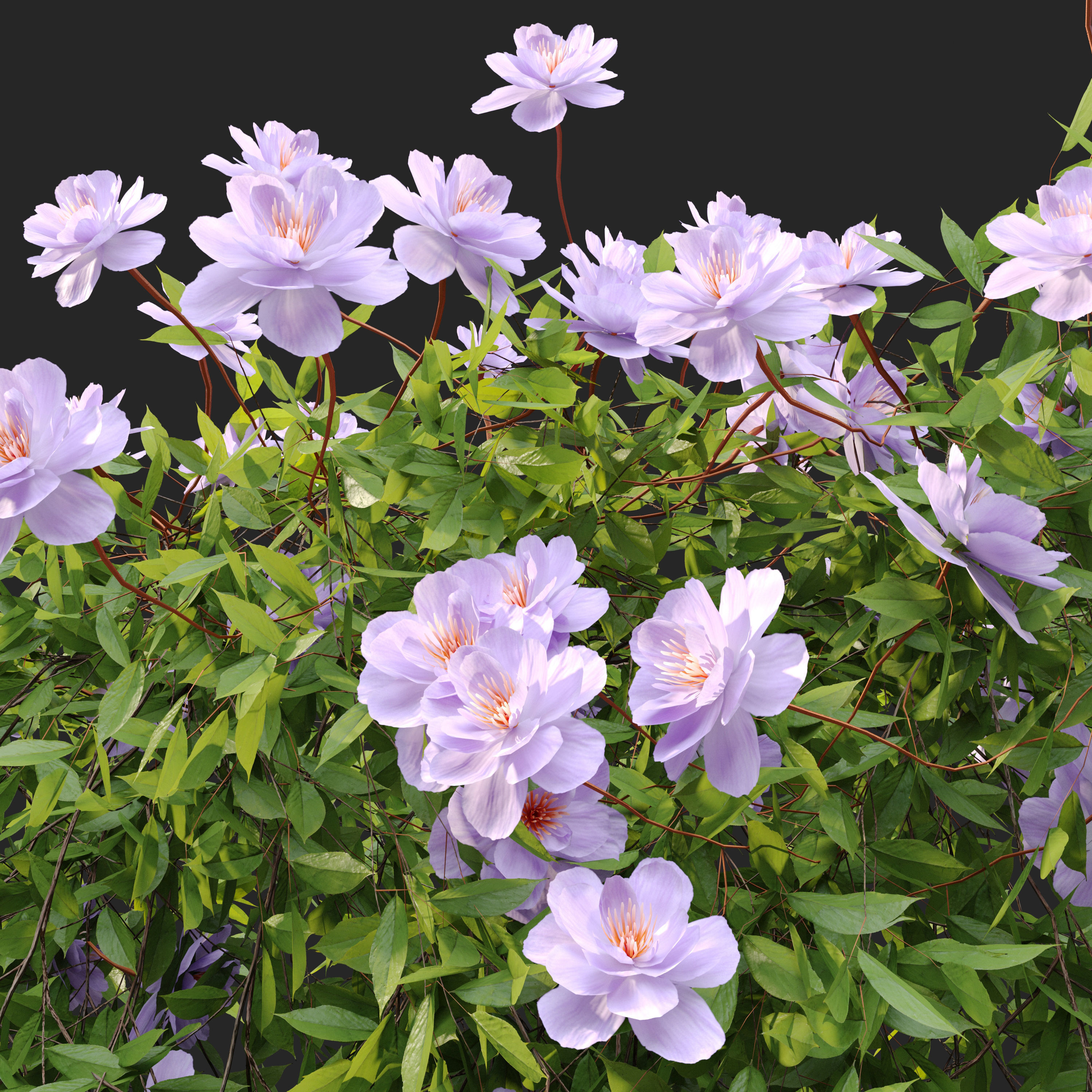 Hanging Plant 37 3D model_2