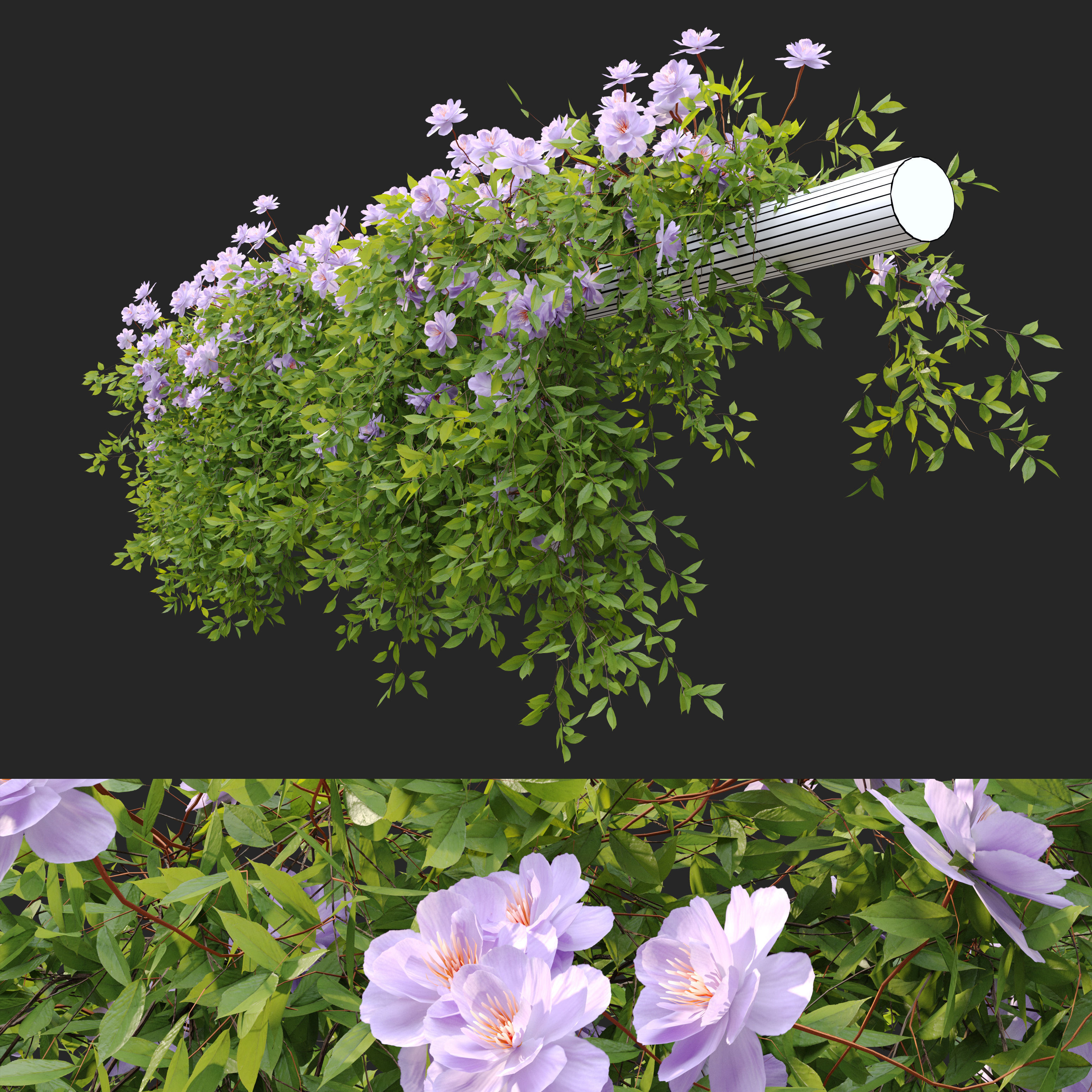 Hanging Plant 37 3D model_1