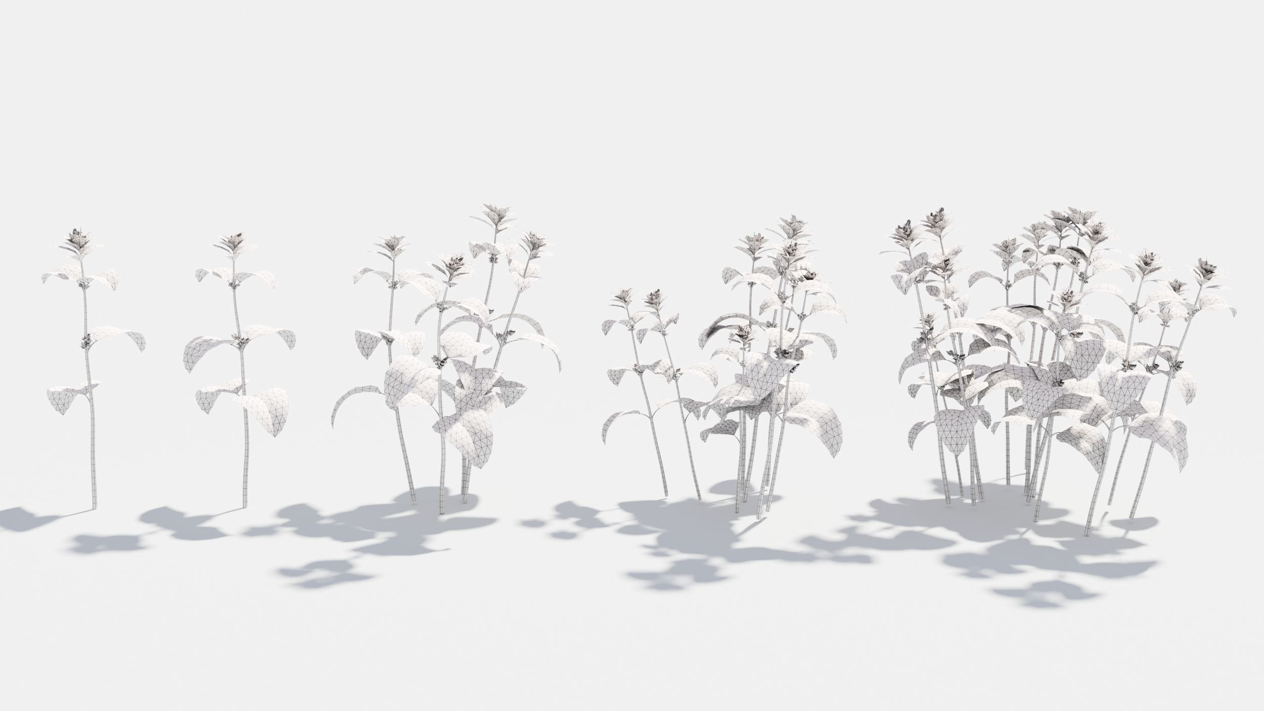 Lamium field of flowers 3D model_9
