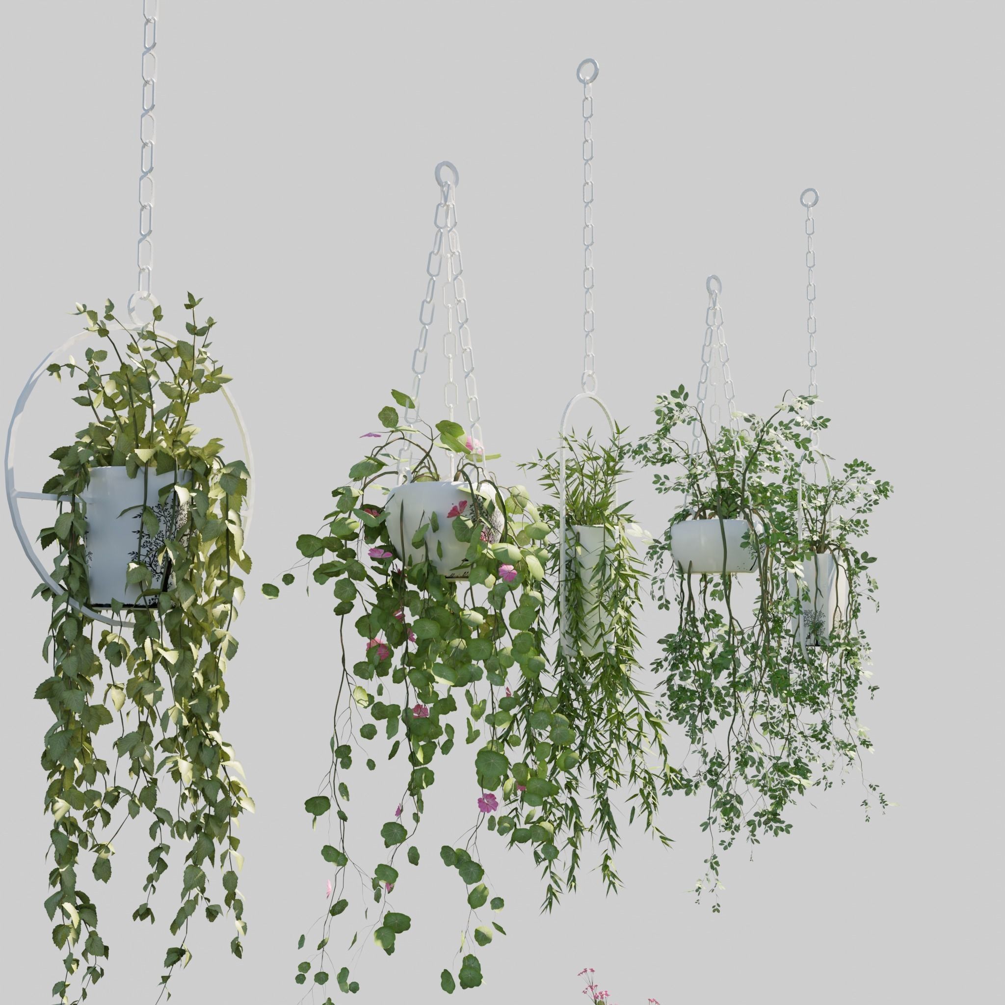 Hanging Pots with Plants Low-poly 3D model_2