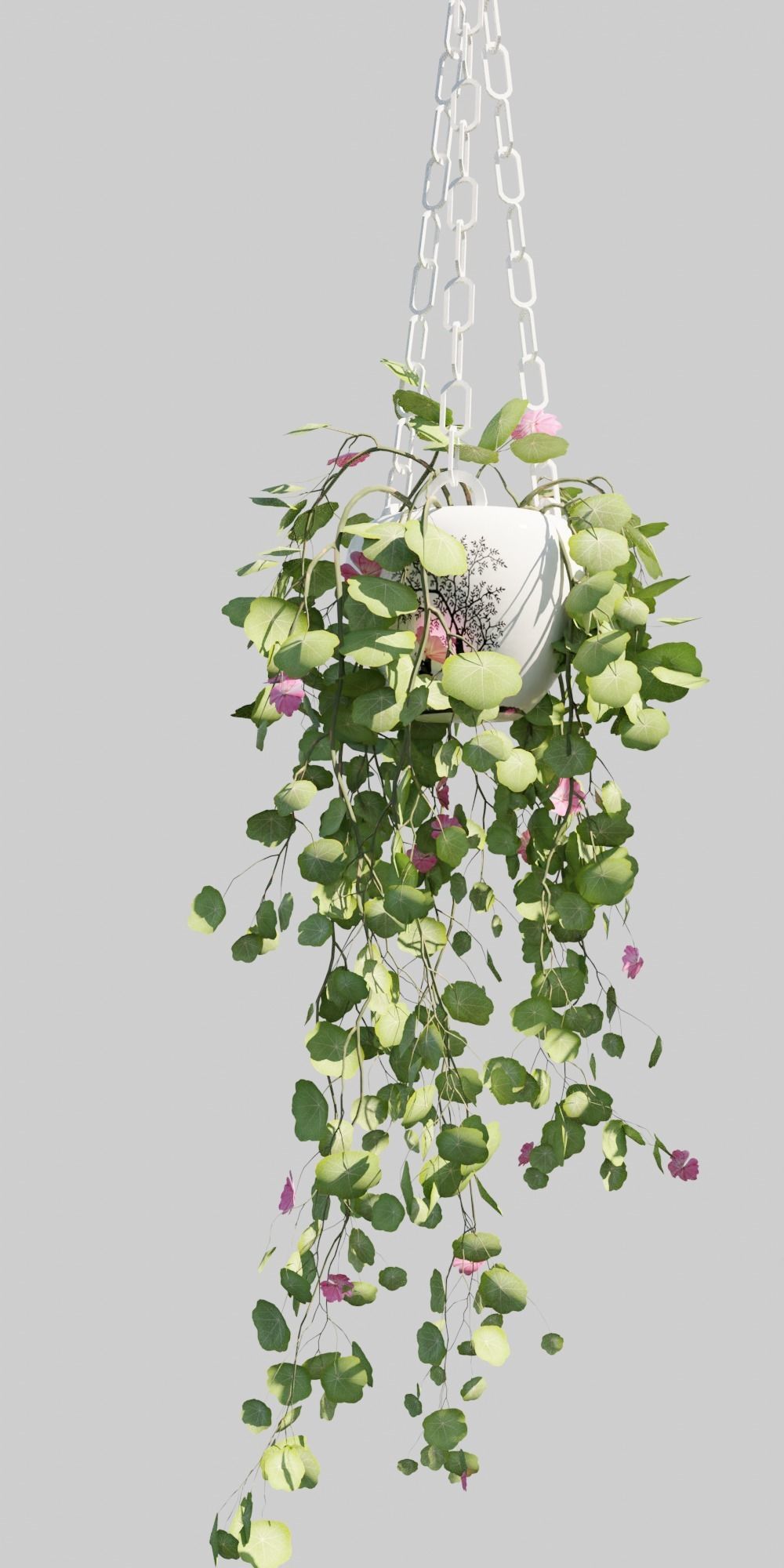Hanging Pots with Plants Low-poly 3D model_6