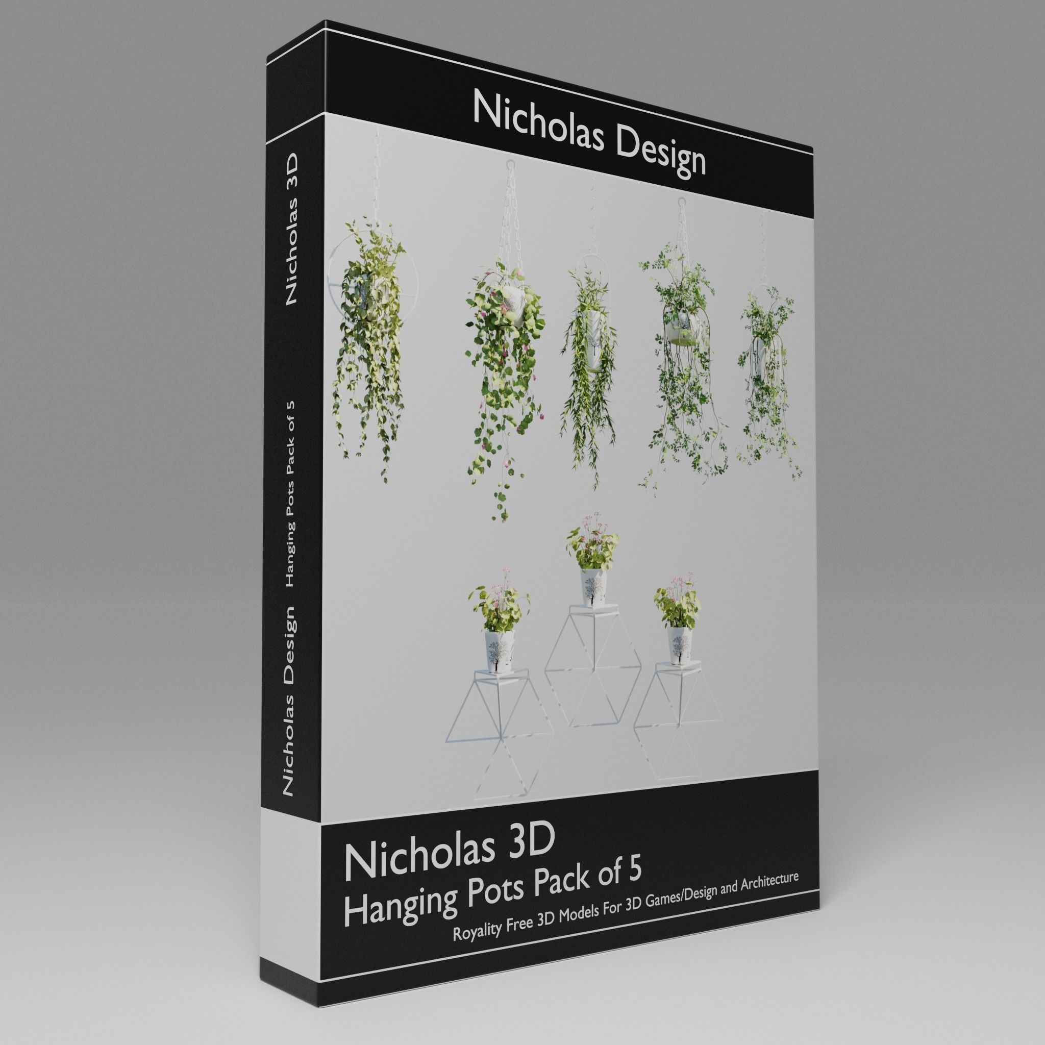 Hanging Pots with Plants Low-poly 3D model_19