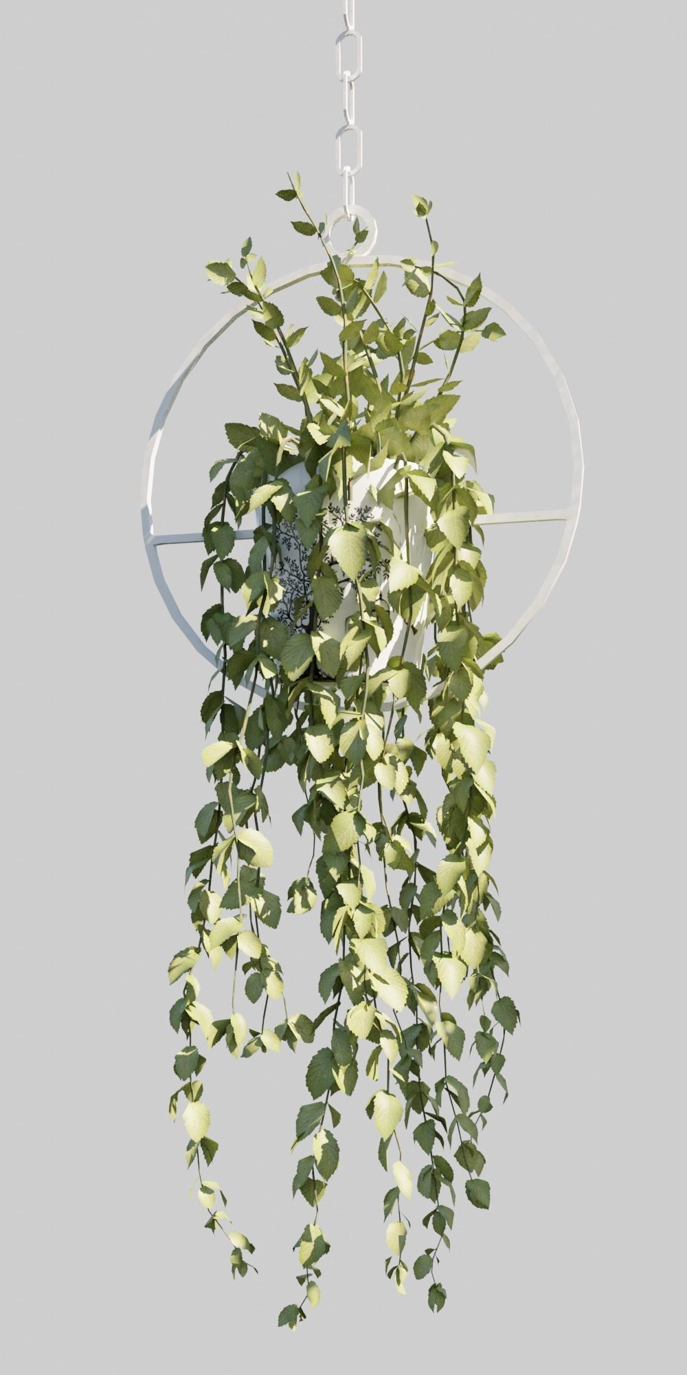 Hanging Pots with Plants Low-poly 3D model_5