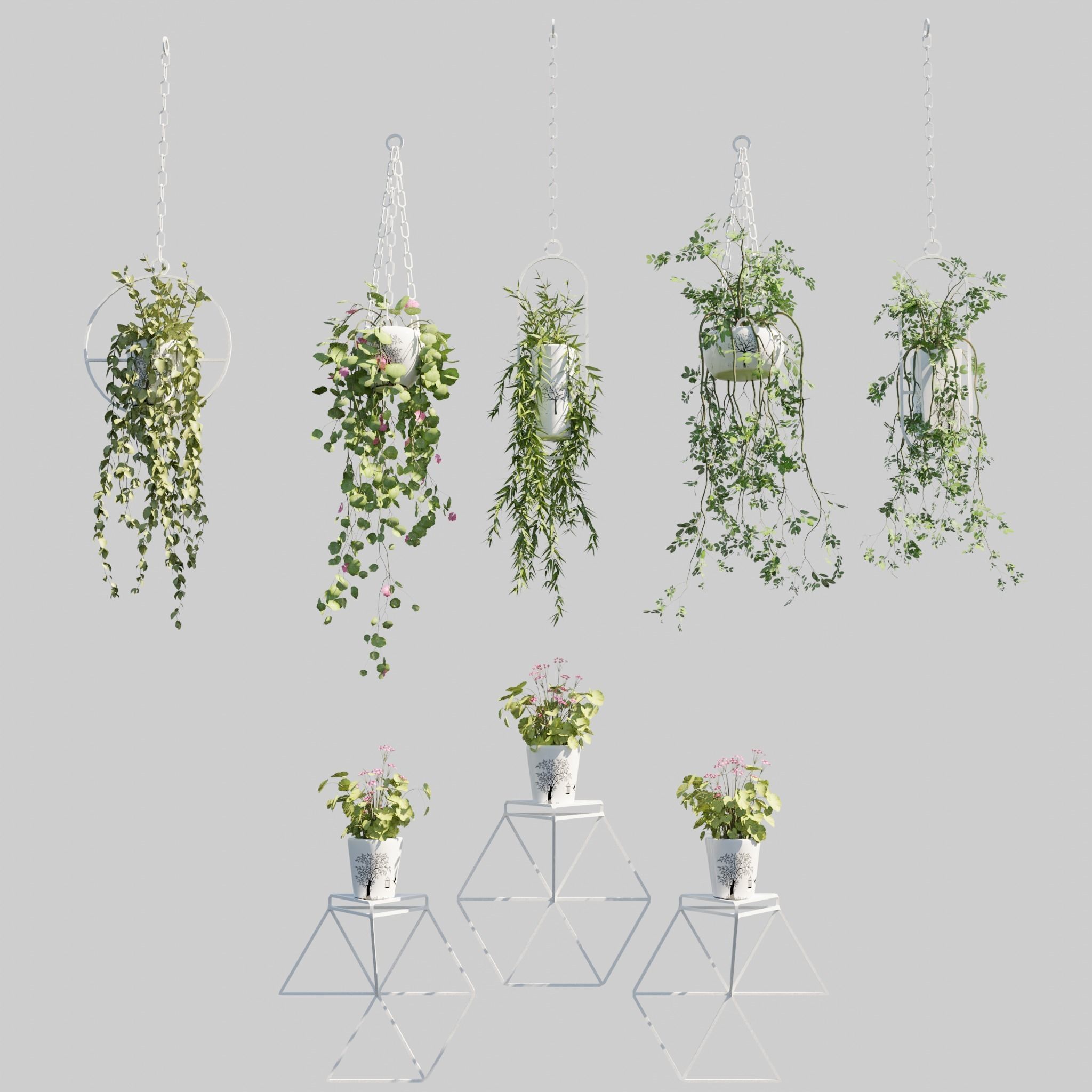 Hanging Pots with Plants Low-poly 3D model_1