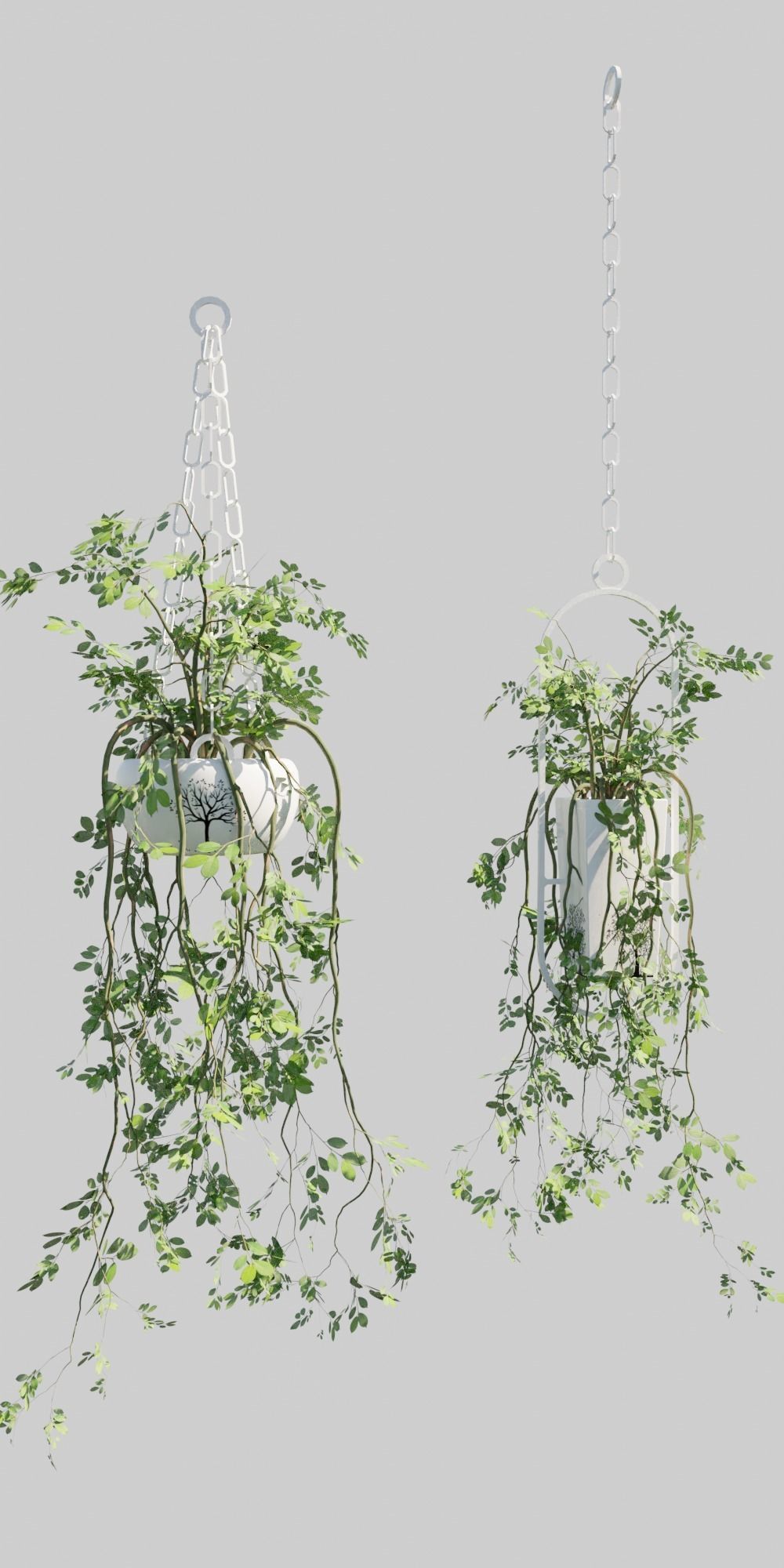Hanging Pots with Plants Low-poly 3D model_8