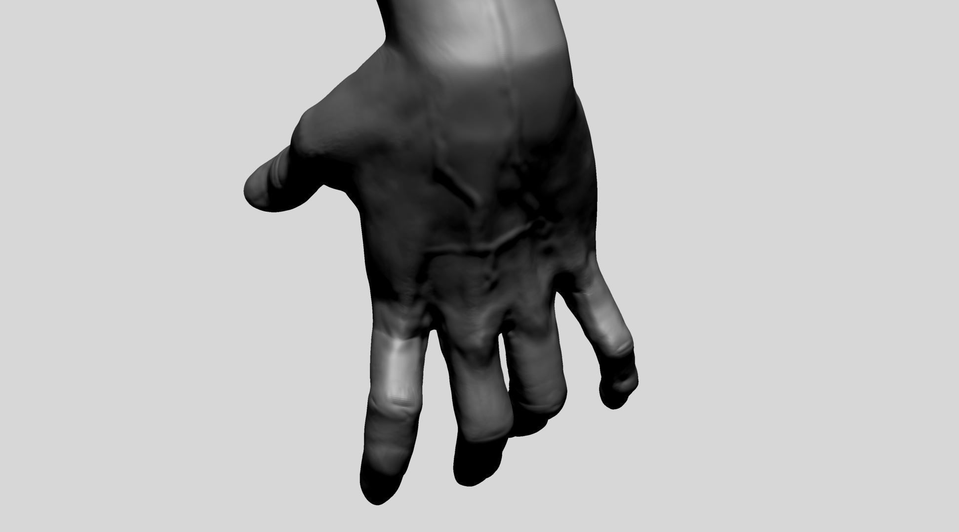 Hand Model A 3D model_7