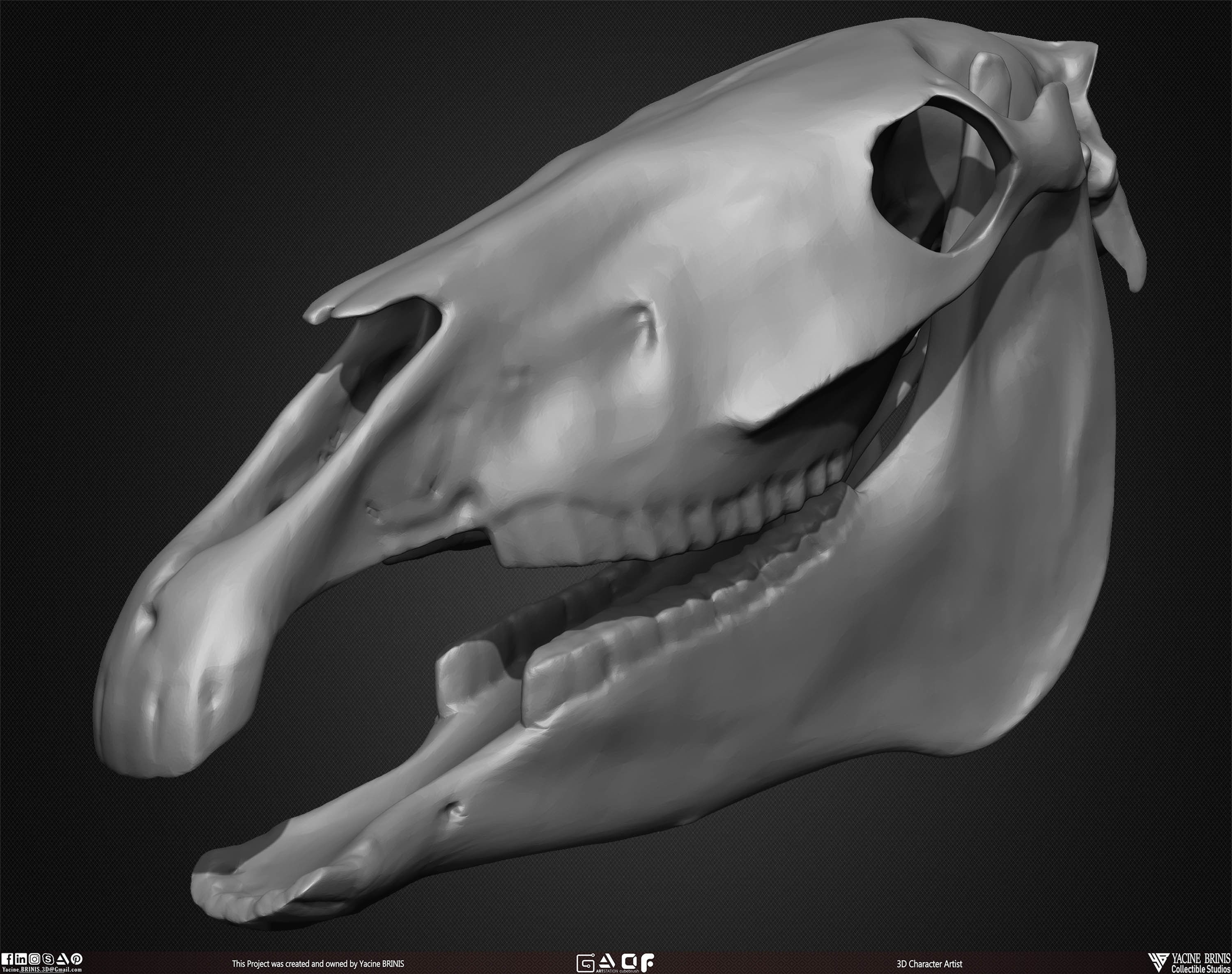 20 Animal Skulls Collection 01 Low-poly 3D model_45