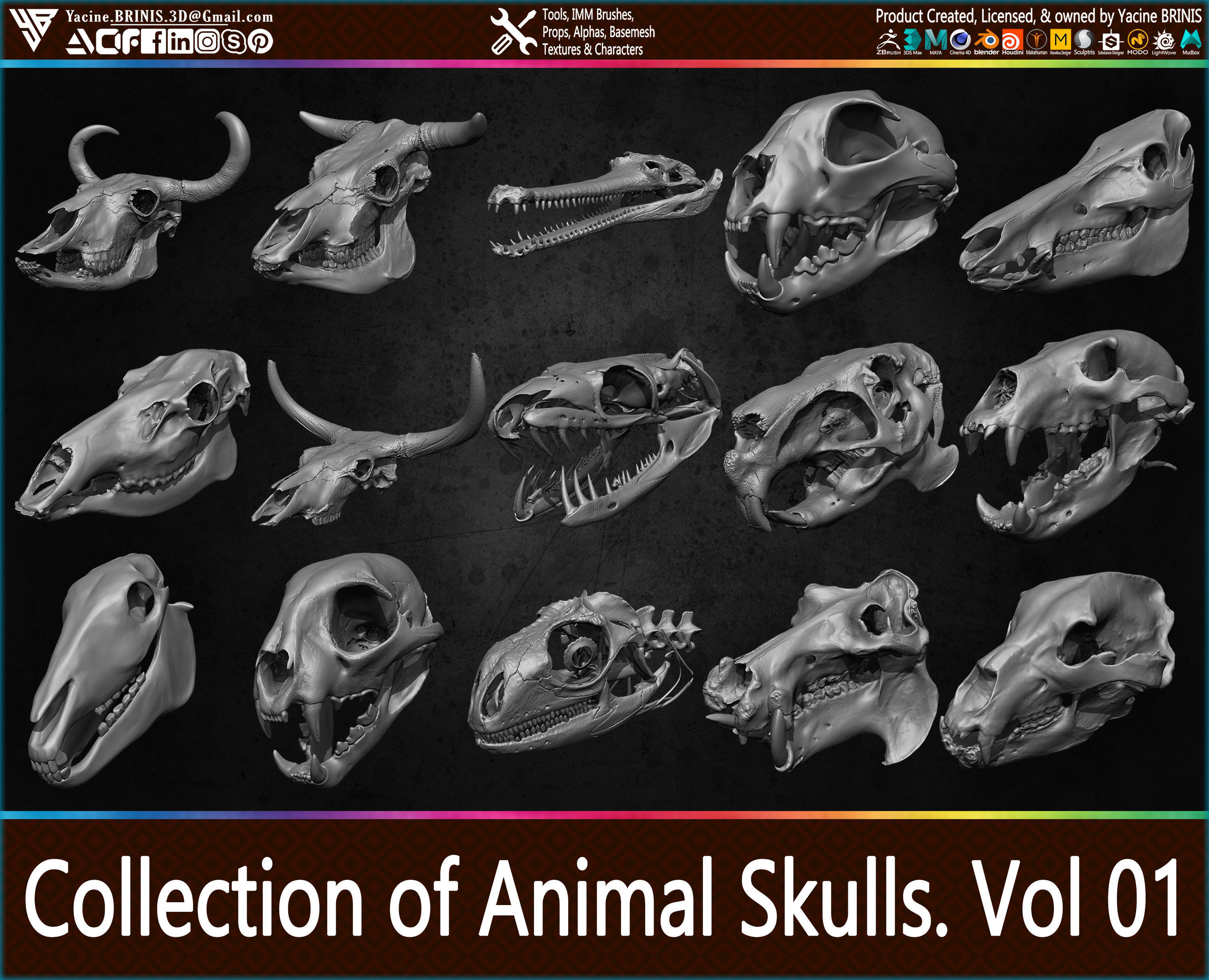 20 Animal Skulls Collection 01 Low-poly 3D model_29