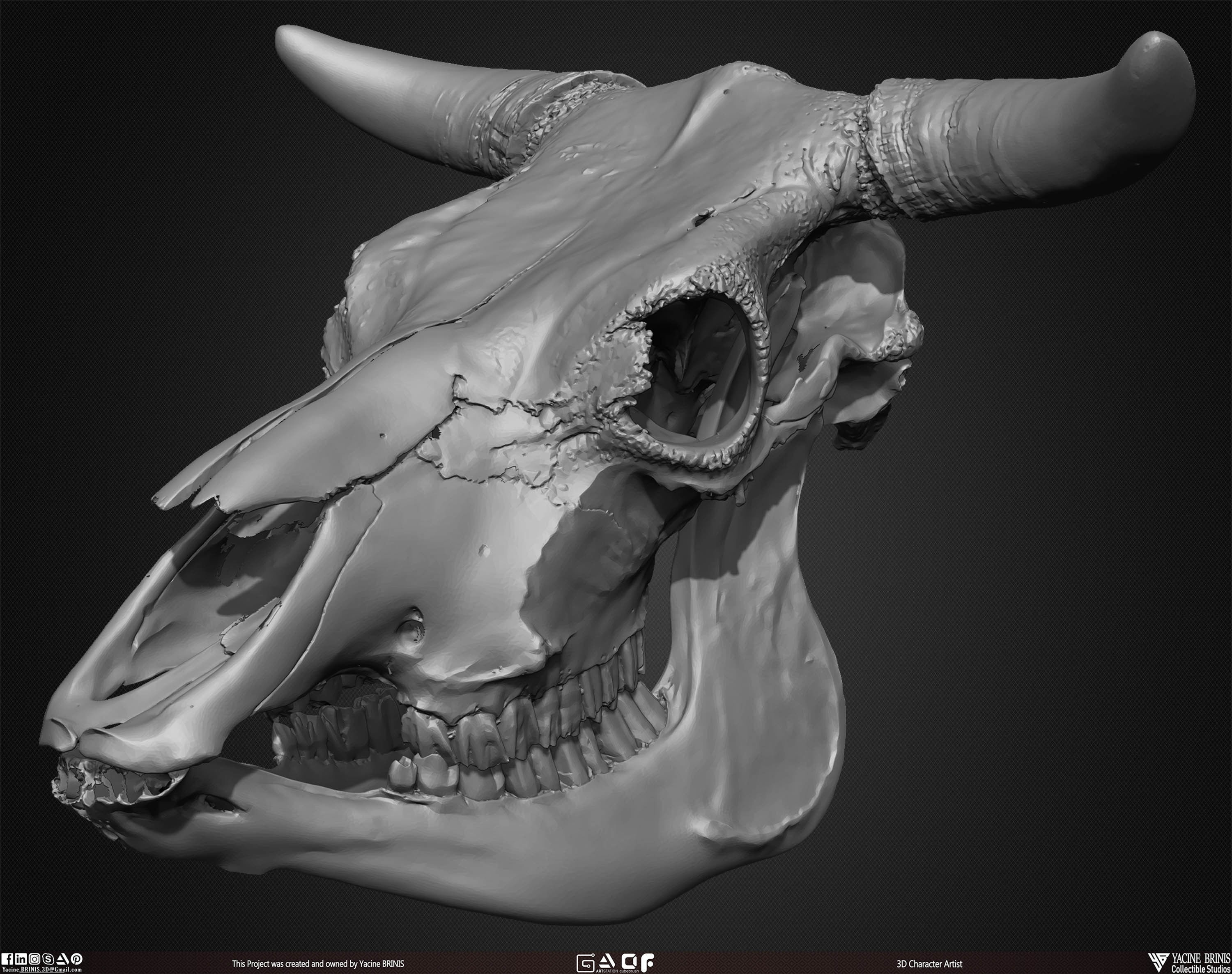 20 Animal Skulls Collection 01 Low-poly 3D model_31