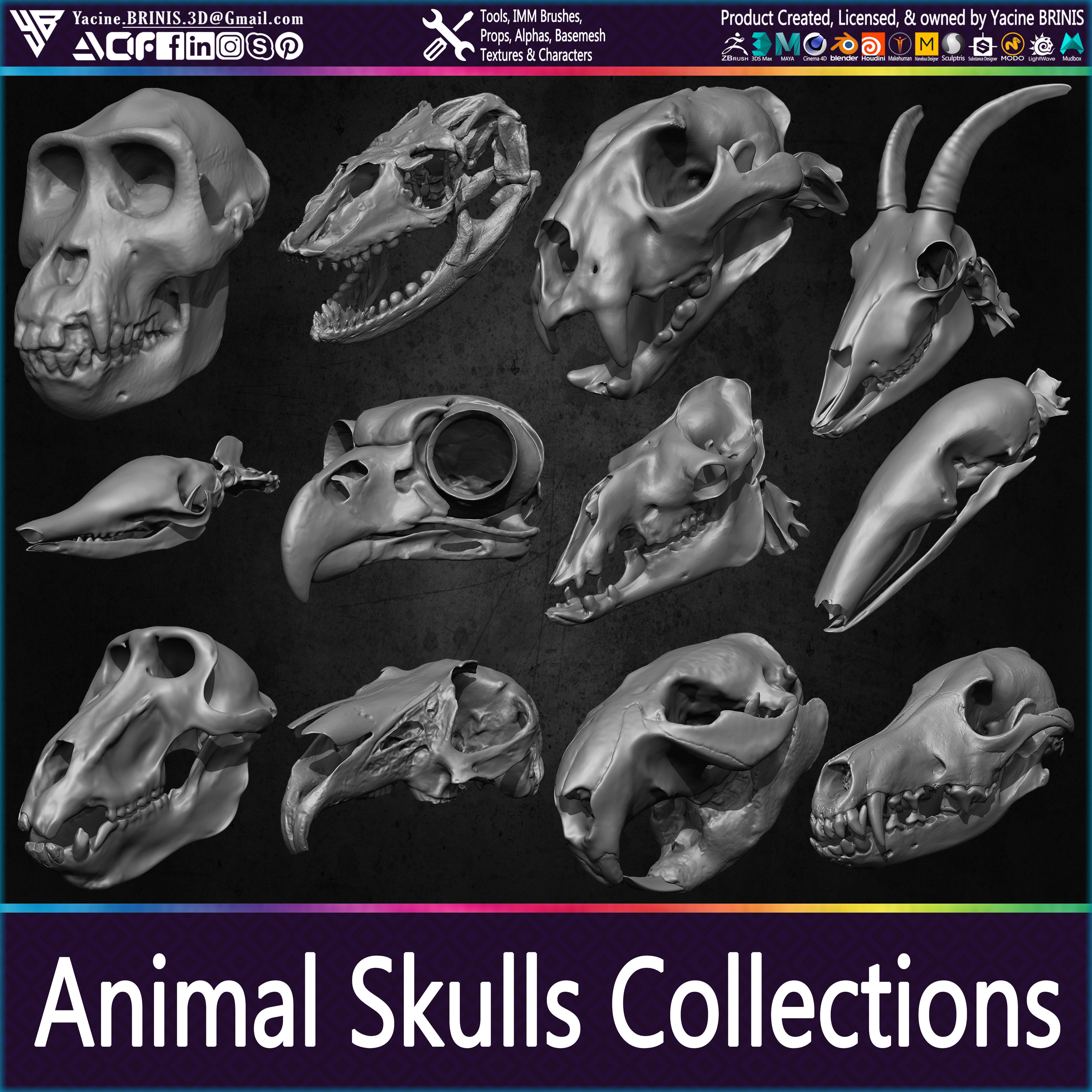 20 Animal Skulls Collection 01 Low-poly 3D model_30