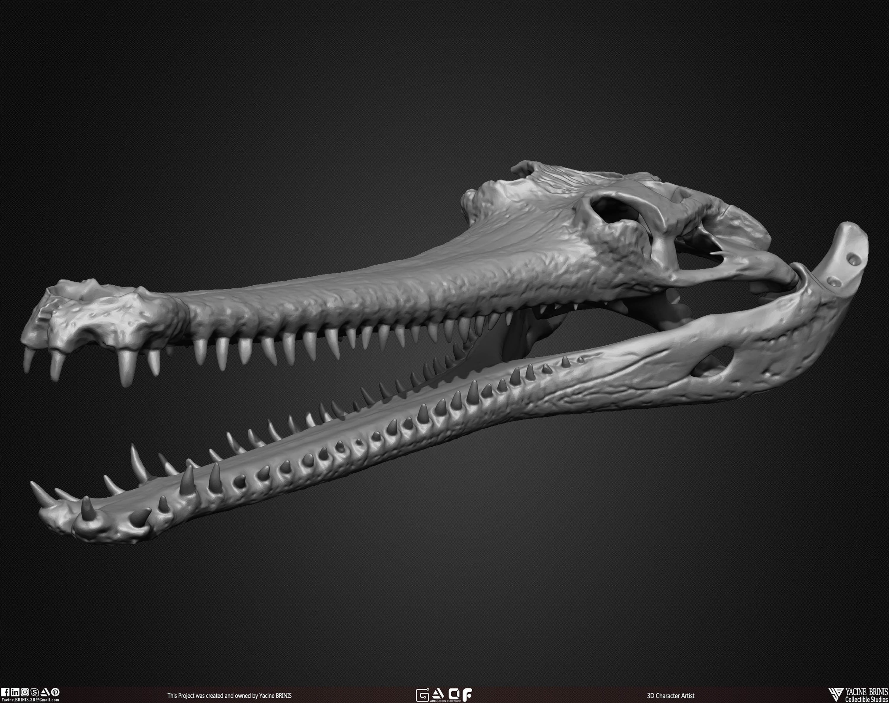 20 Animal Skulls Collection 01 Low-poly 3D model_33