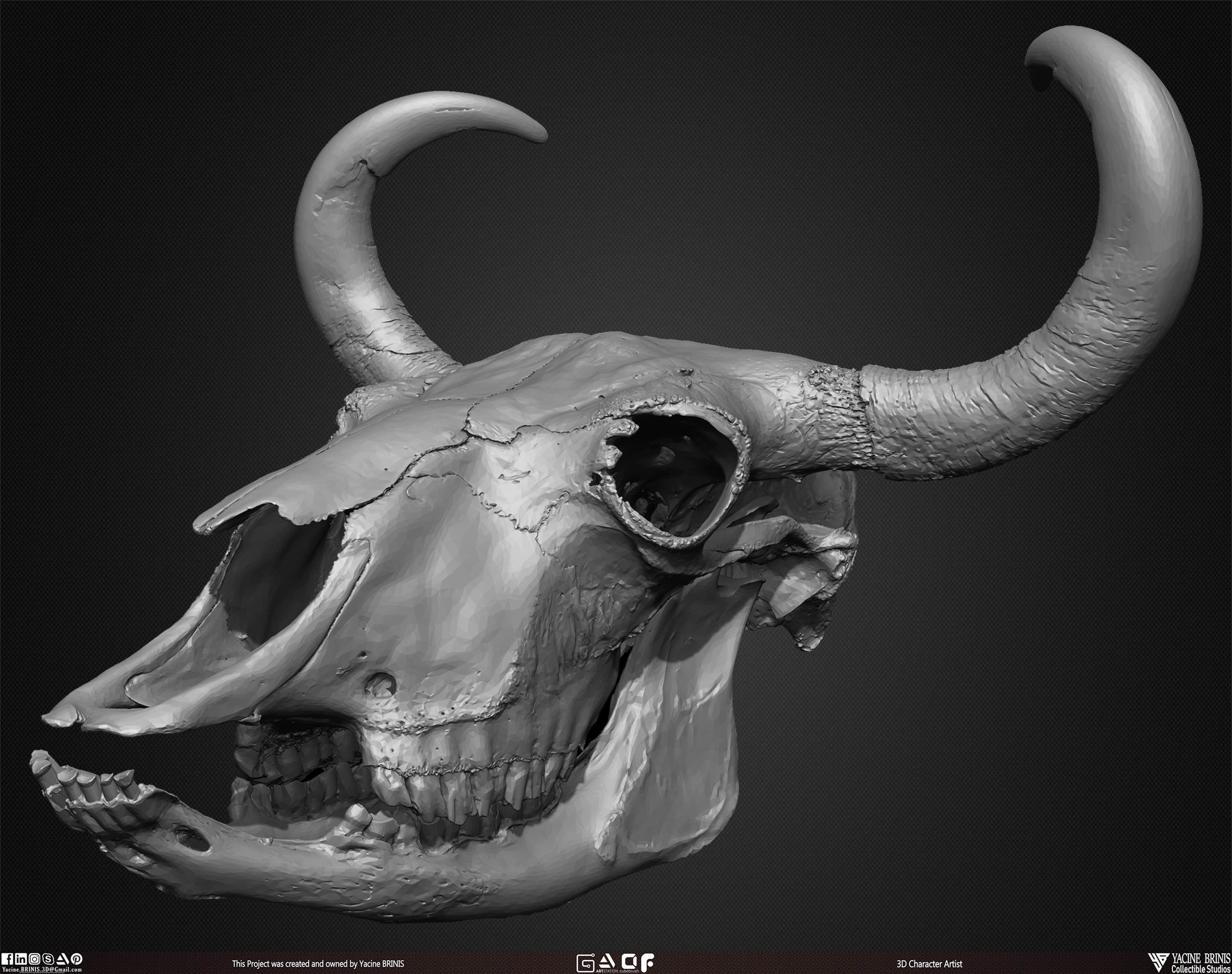 20 Animal Skulls Collection 01 Low-poly 3D model_35