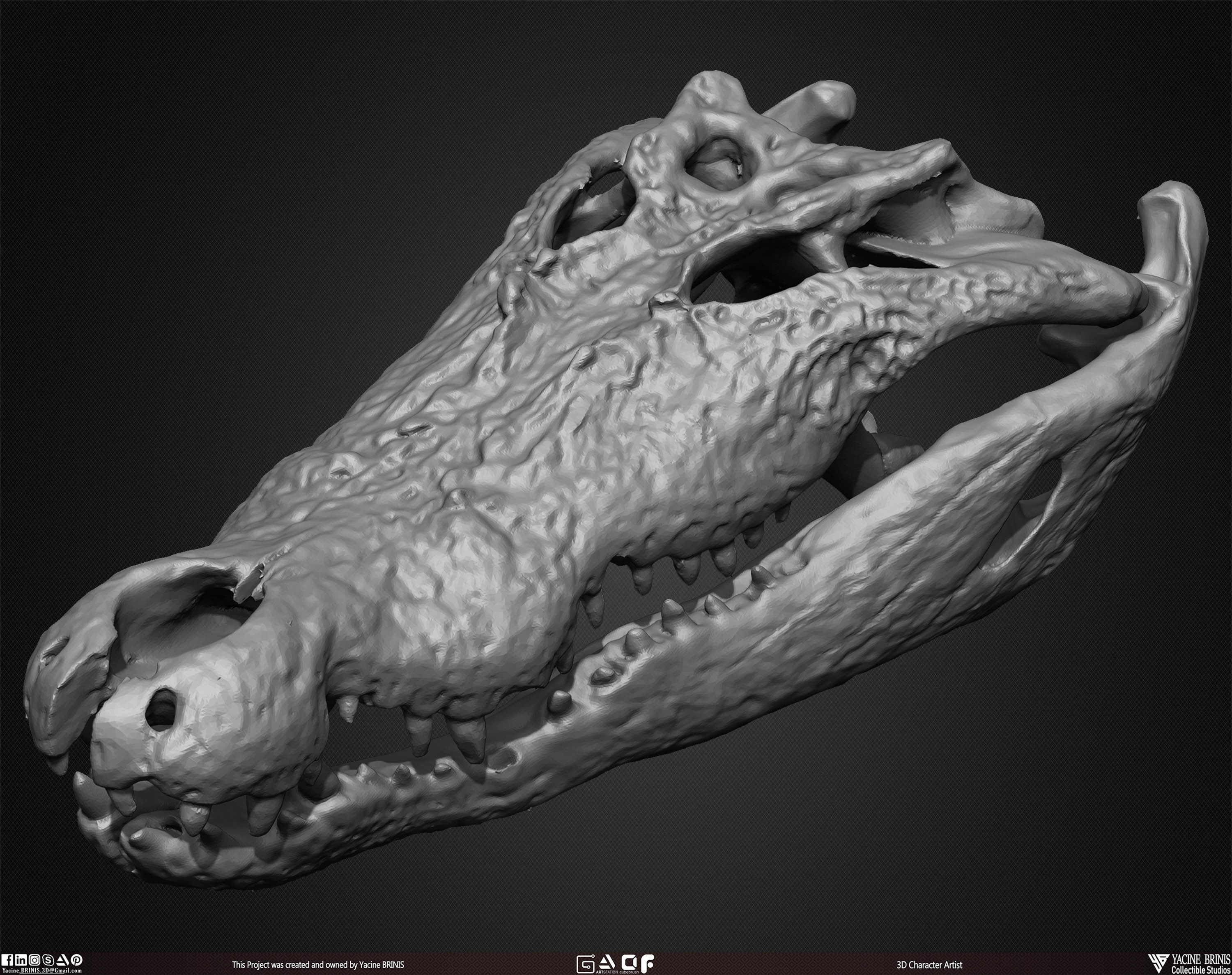 20 Animal Skulls Collection 01 Low-poly 3D model_46