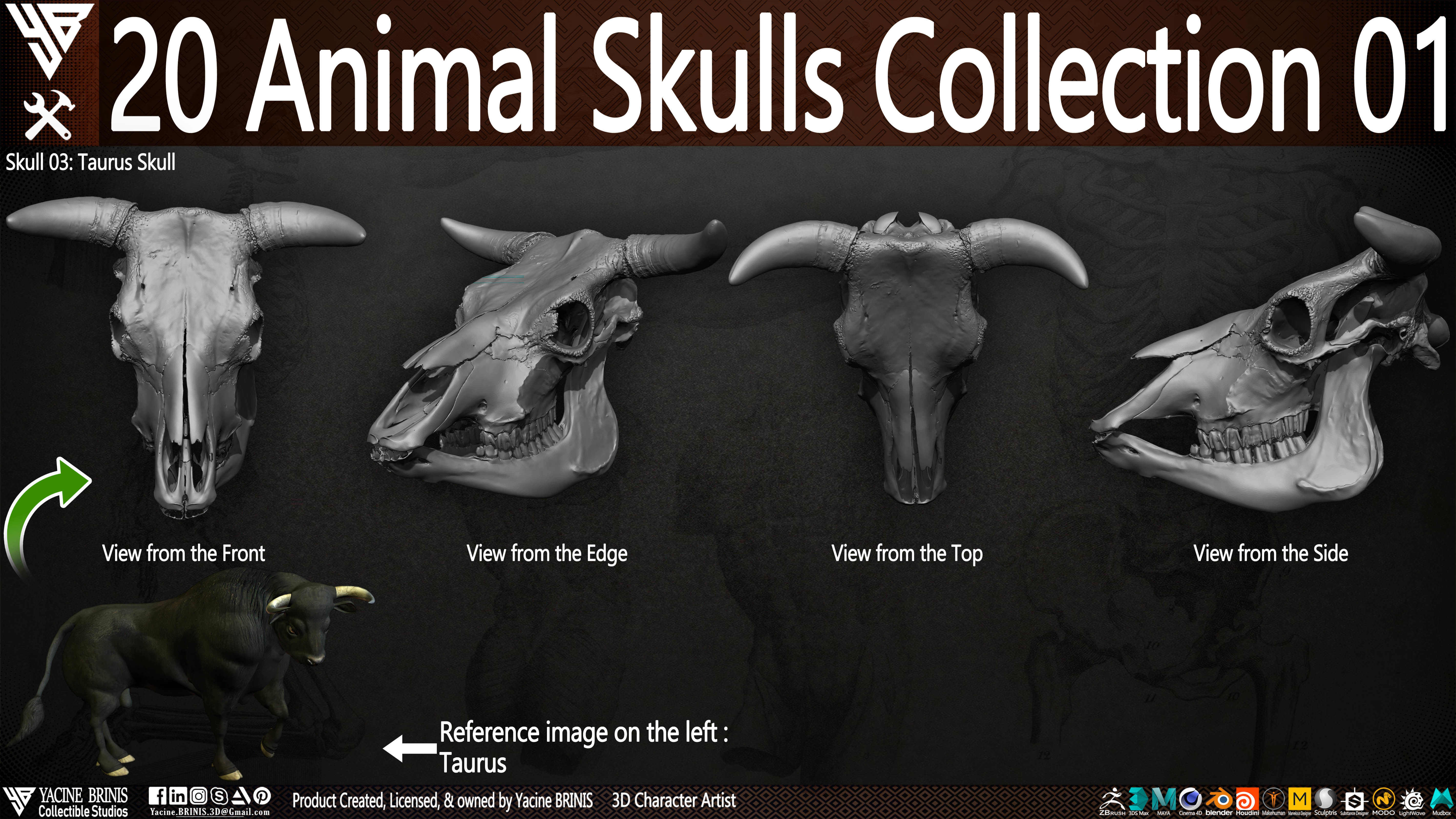 20 Animal Skulls Collection 01 Low-poly 3D model_26