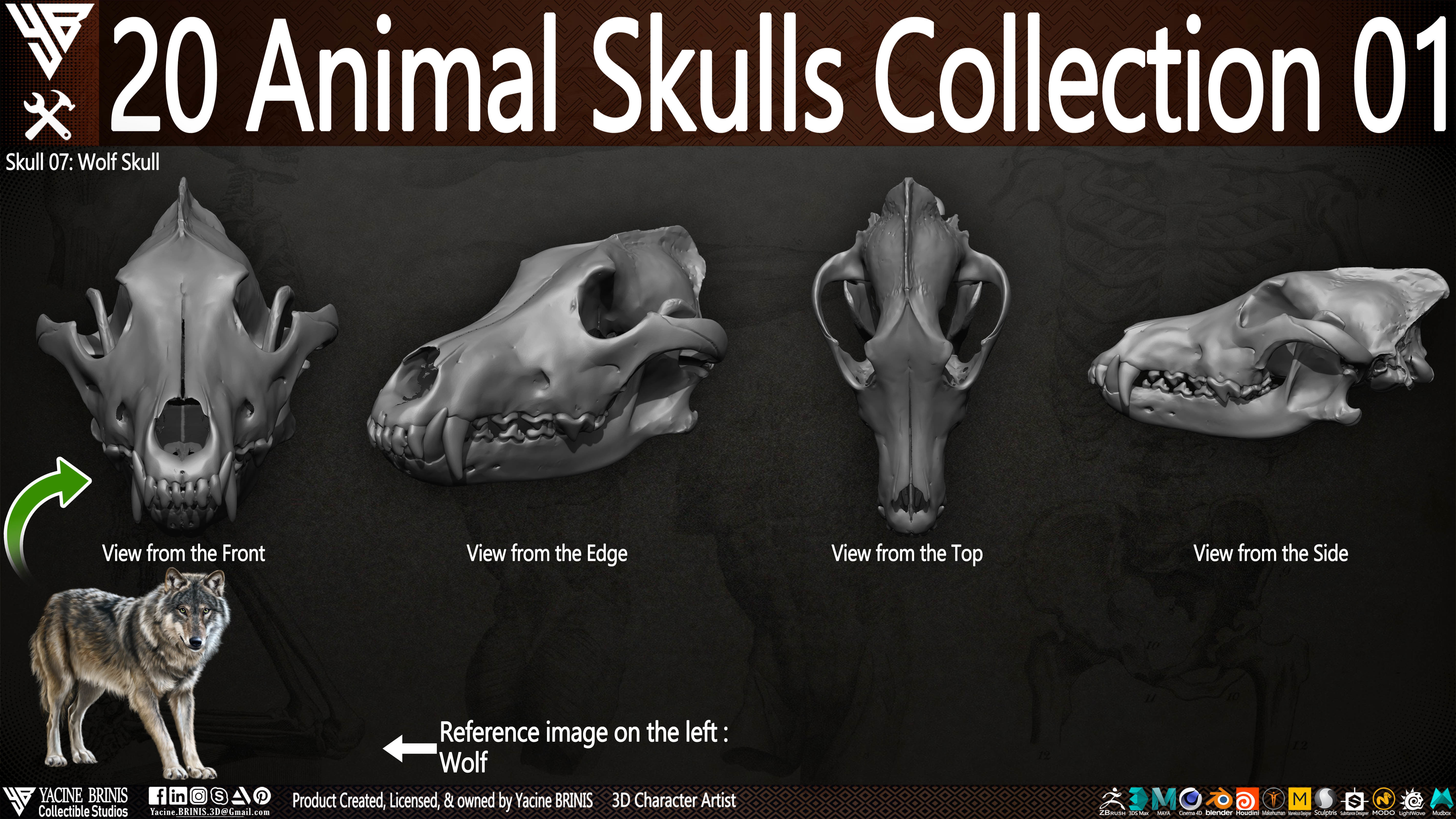 20 Animal Skulls Collection 01 Low-poly 3D model_16