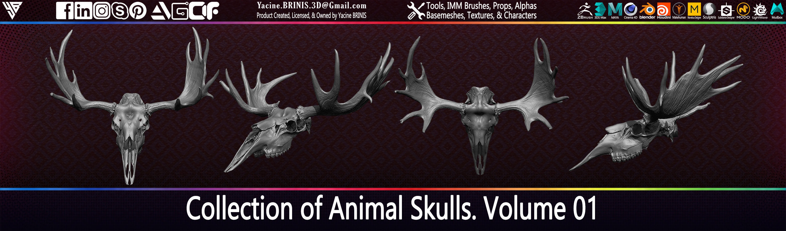 20 Animal Skulls Collection 01 Low-poly 3D model_27