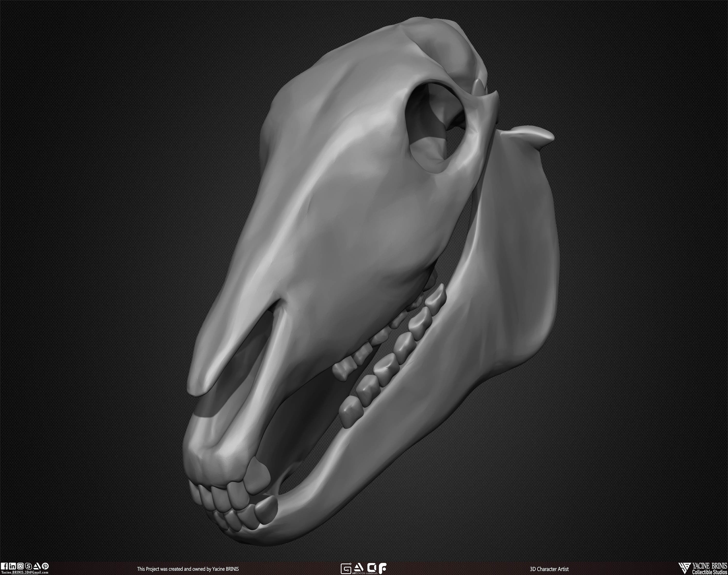 20 Animal Skulls Collection 01 Low-poly 3D model_44