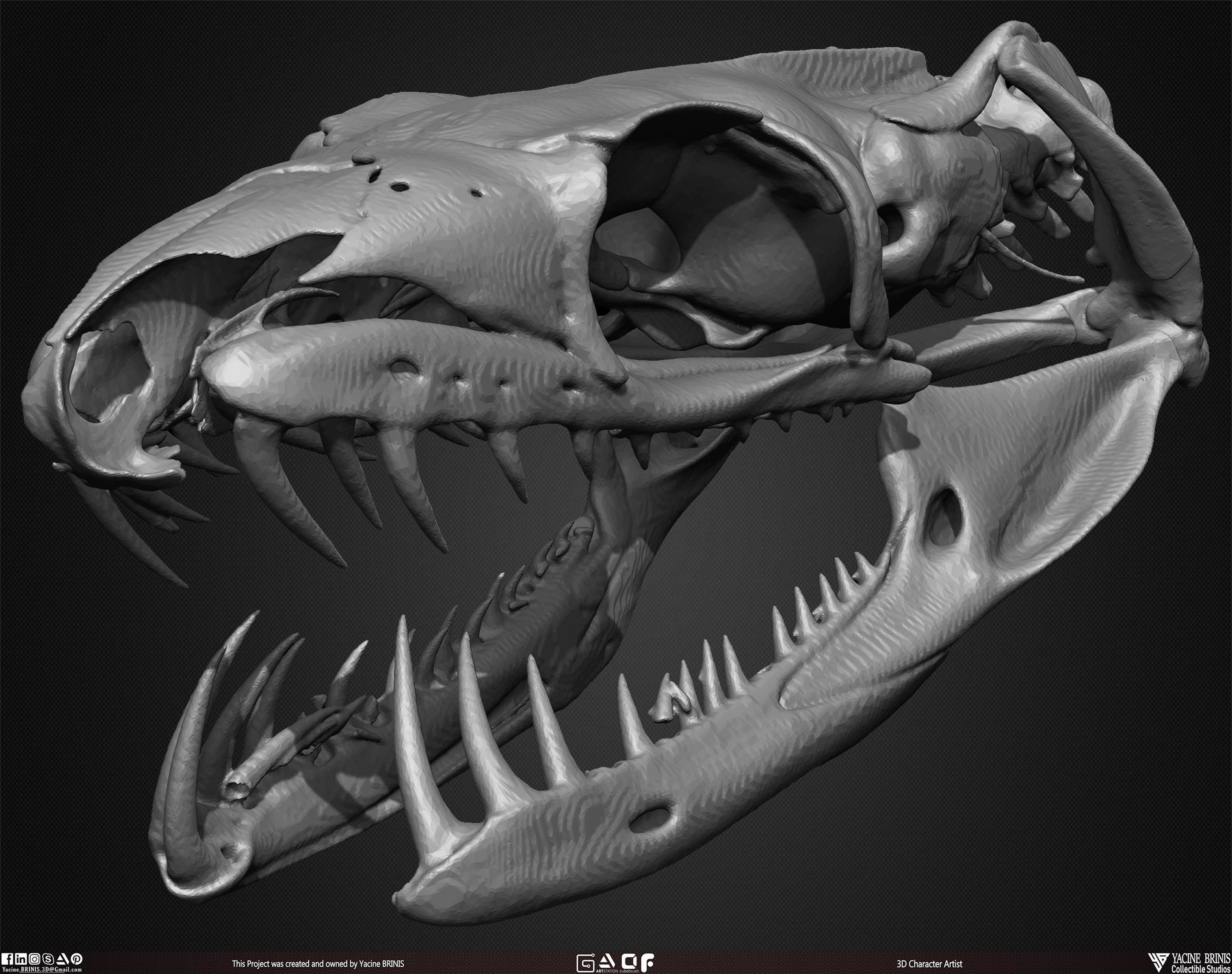 20 Animal Skulls Collection 01 Low-poly 3D model_40