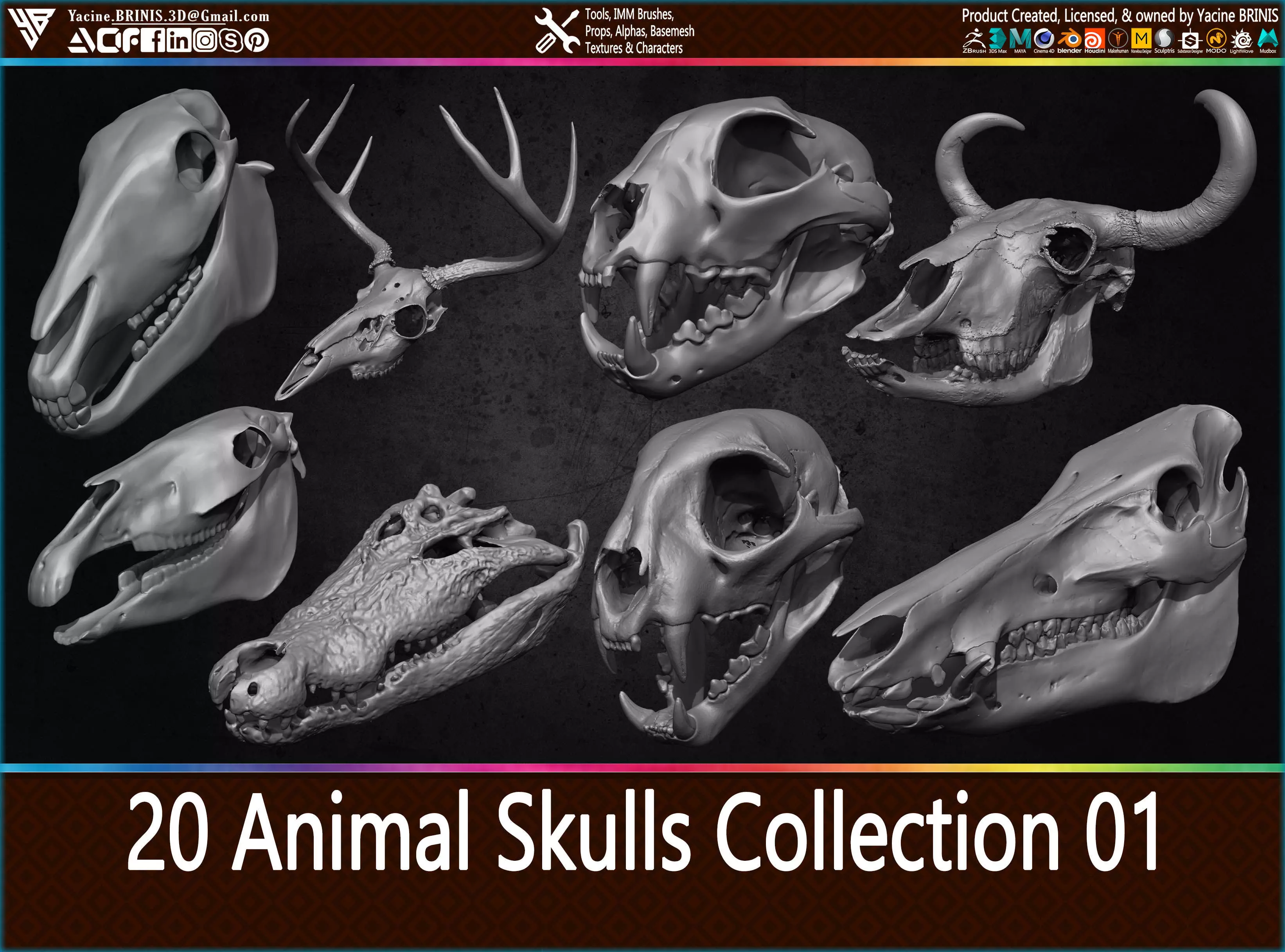 20 Animal Skulls Collection 01 Low-poly 3D model_0