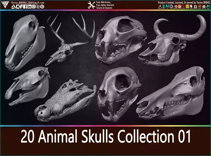 20 Animal Skulls Collection 01 Low-poly 3D model