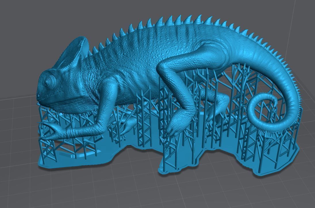 chameleon chamelon on branch 3D print model_10