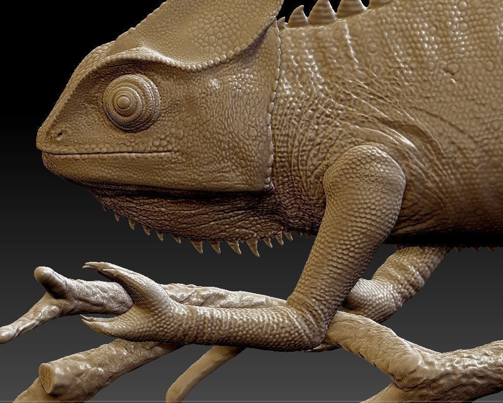 chameleon chamelon on branch 3D print model_8