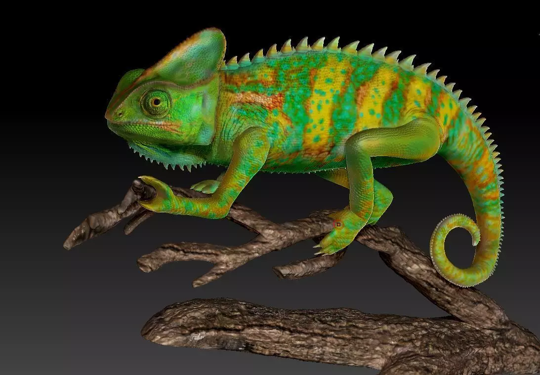 chameleon chamelon on branch 3D print model_0