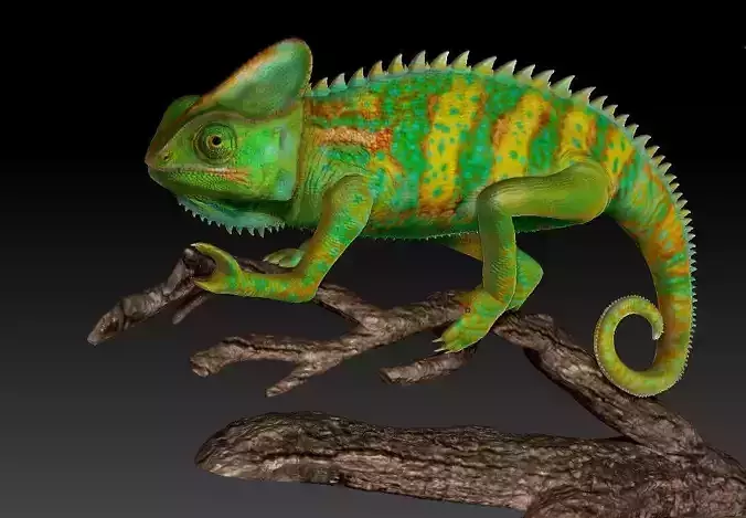 chameleon chamelon on branch 3D print model
