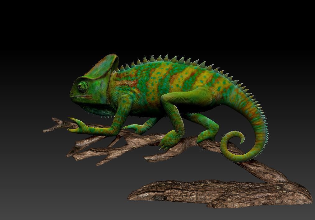 chameleon chamelon on branch 3D print model_3