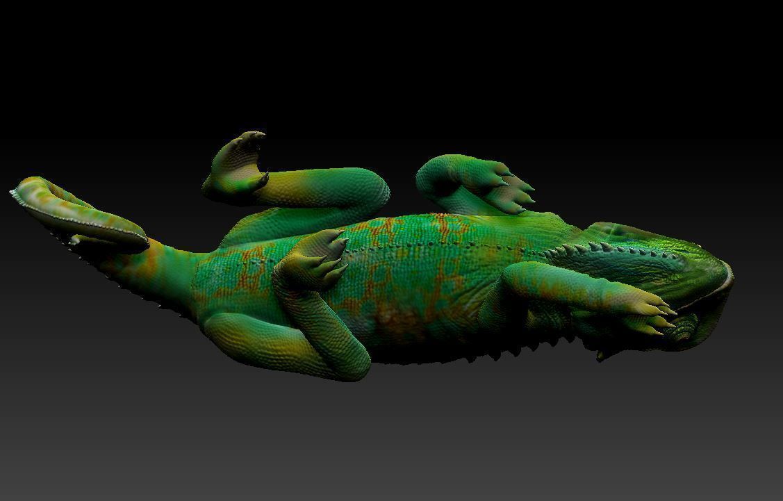 chameleon chamelon on branch 3D print model_5