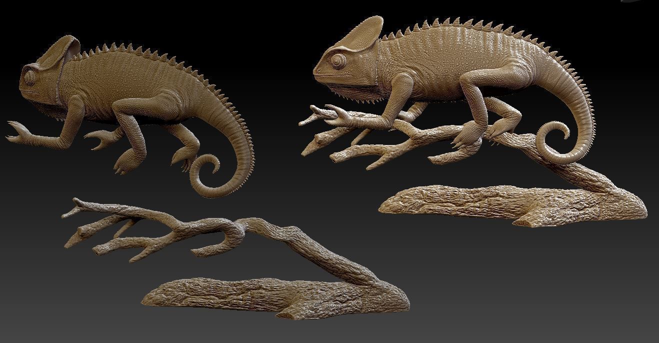 chameleon chamelon on branch 3D print model_6