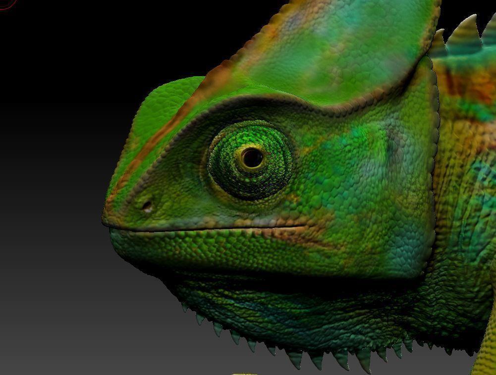 chameleon chamelon on branch 3D print model_1