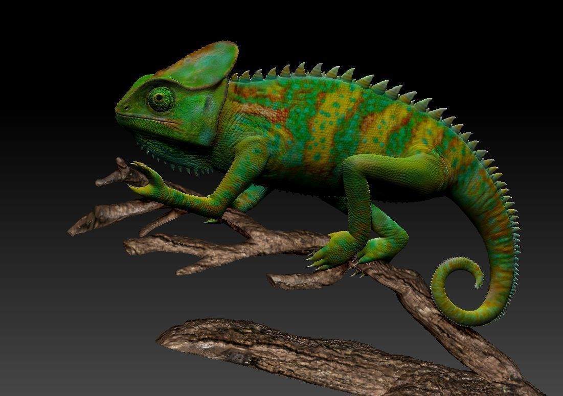 chameleon chamelon on branch 3D print model_2