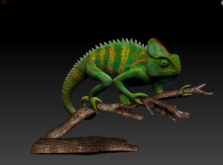 chameleon chamelon on branch 3D print model_4