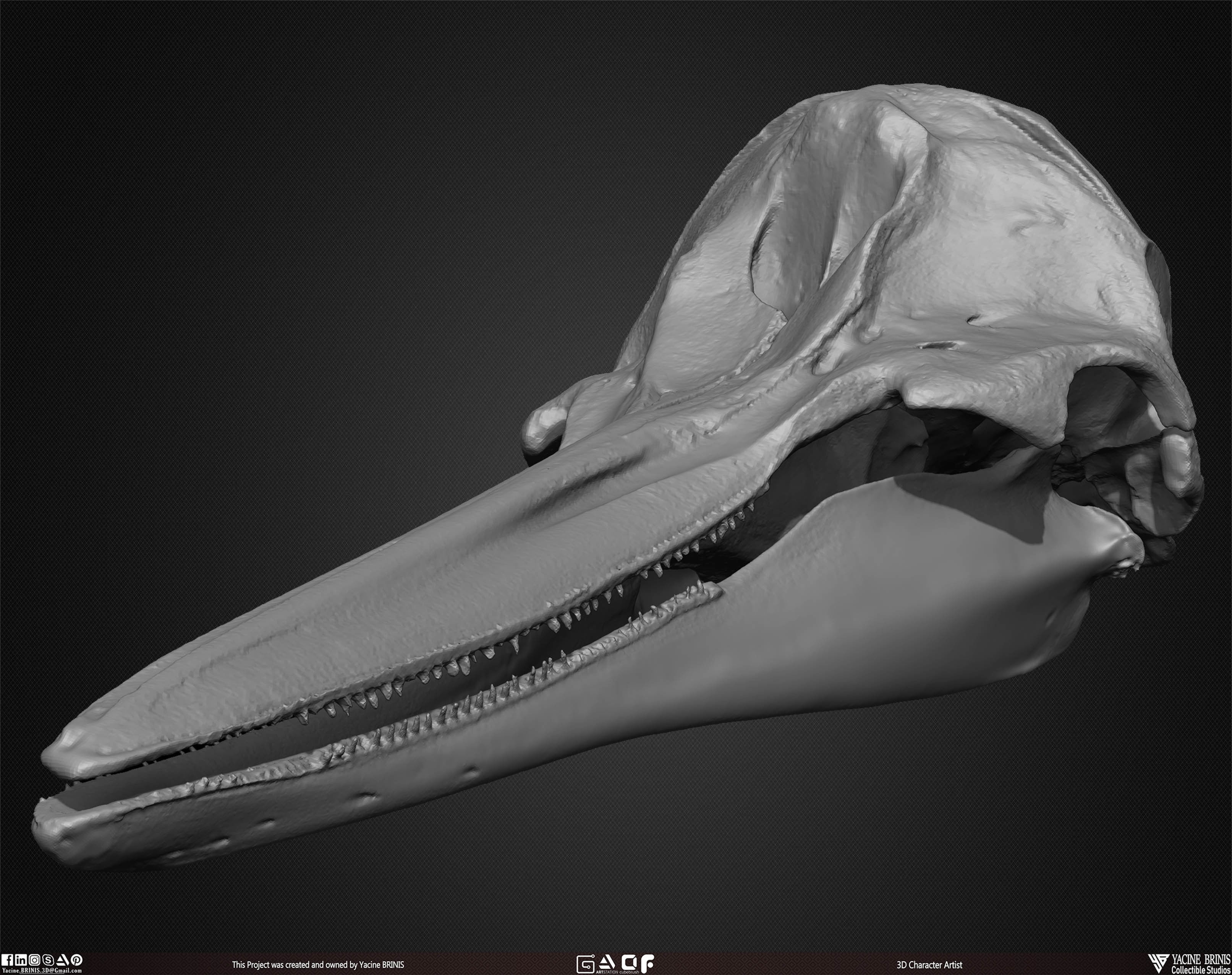 20 Animal Skulls Collection 02 Low-poly 3D model_30