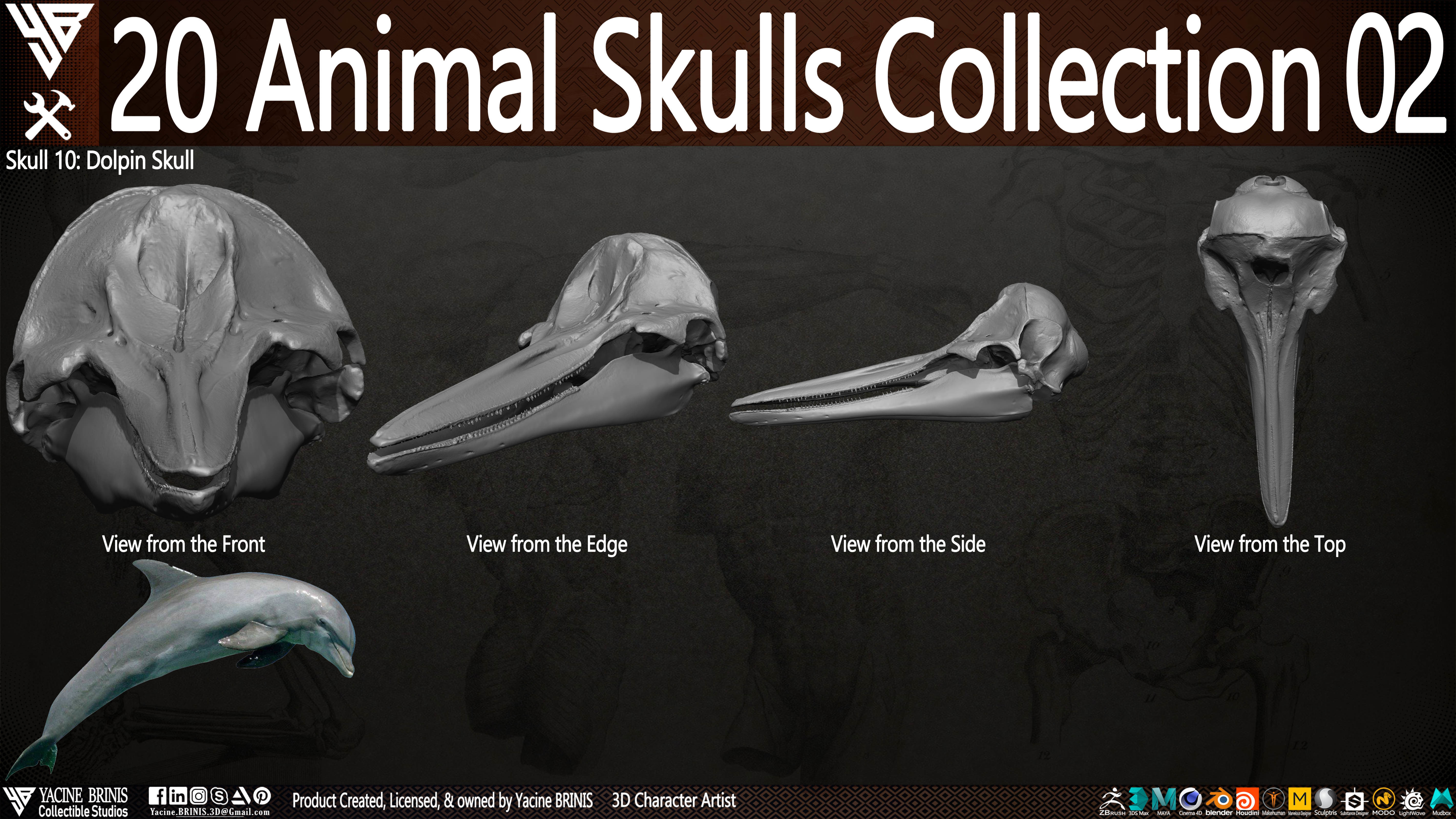 20 Animal Skulls Collection 02 Low-poly 3D model_15