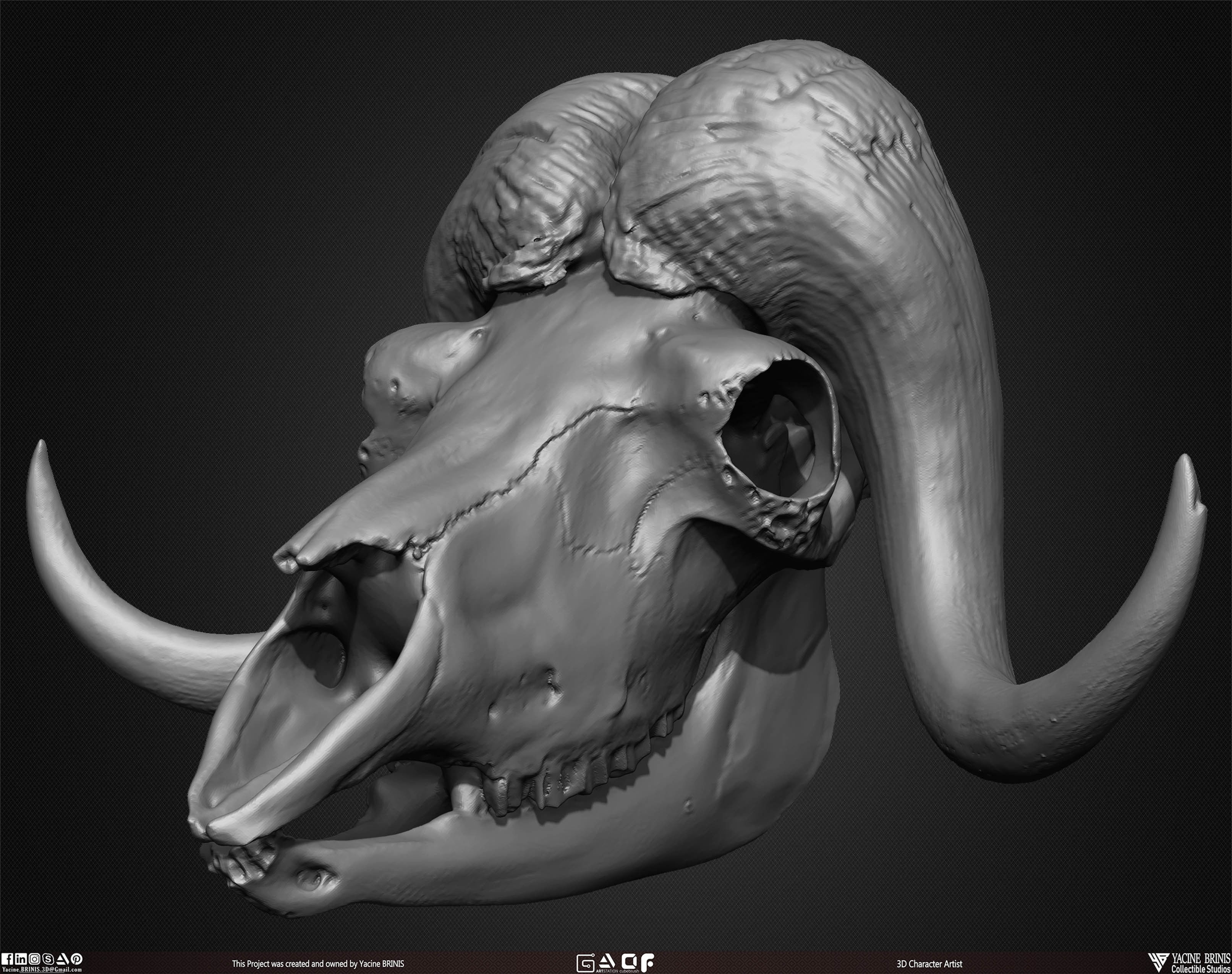 20 Animal Skulls Collection 02 Low-poly 3D model_36